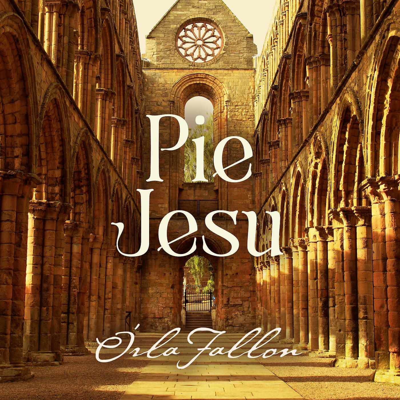 Постер альбома Pie Jesu
