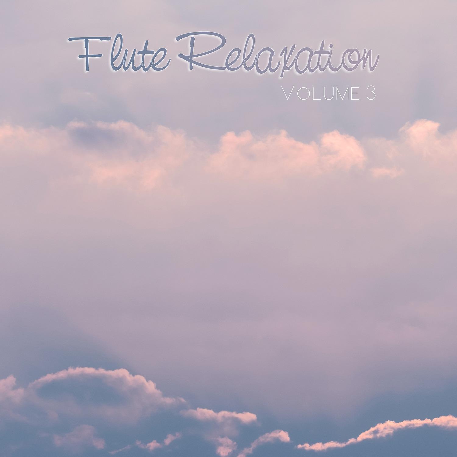 Постер альбома Flute Relaxation, Vol. 3