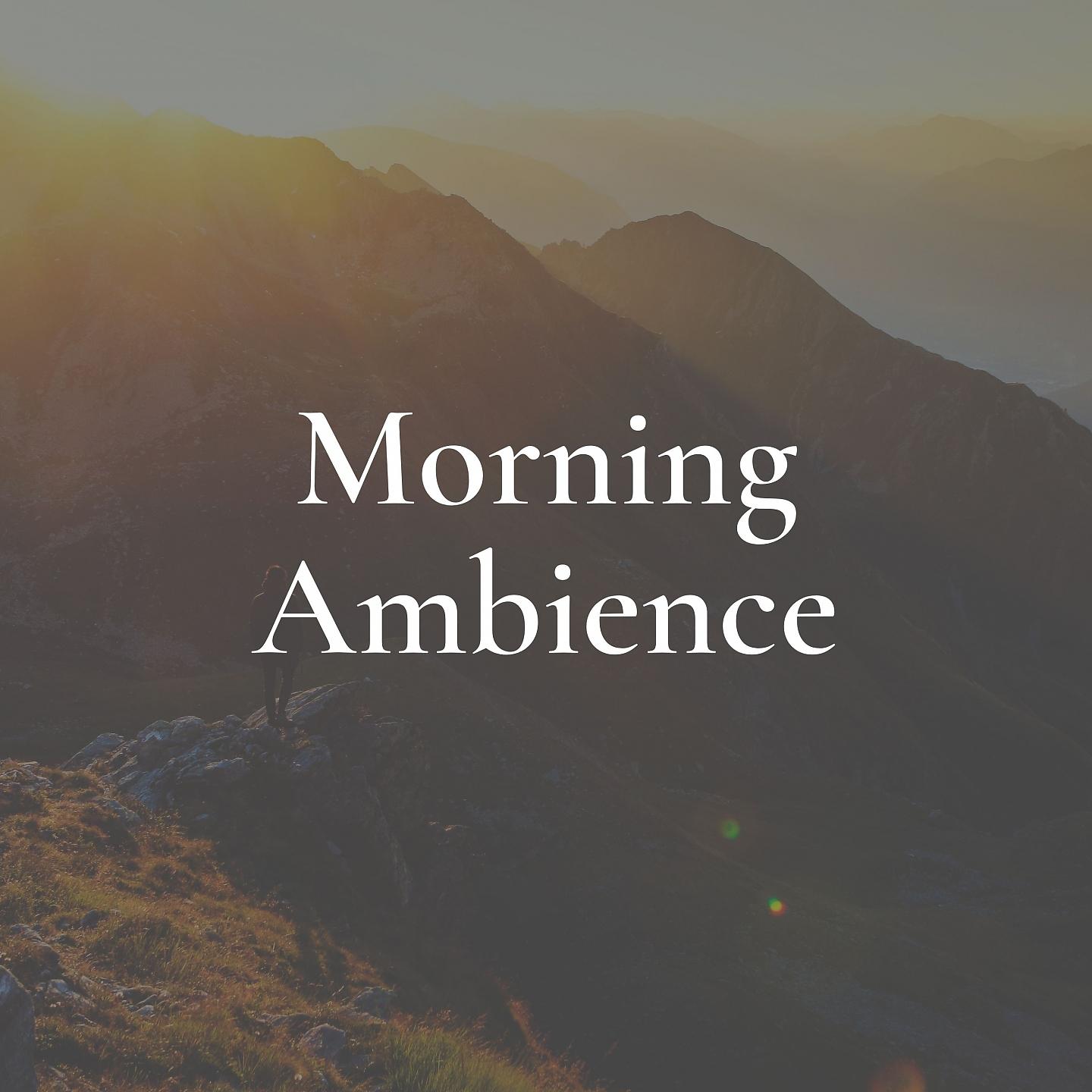 Постер альбома Morning Ambience