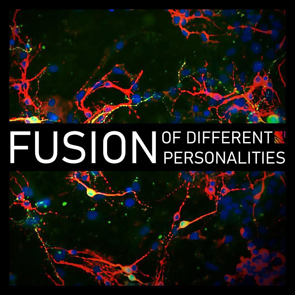 Постер альбома Fusion (Of Different Personalities)