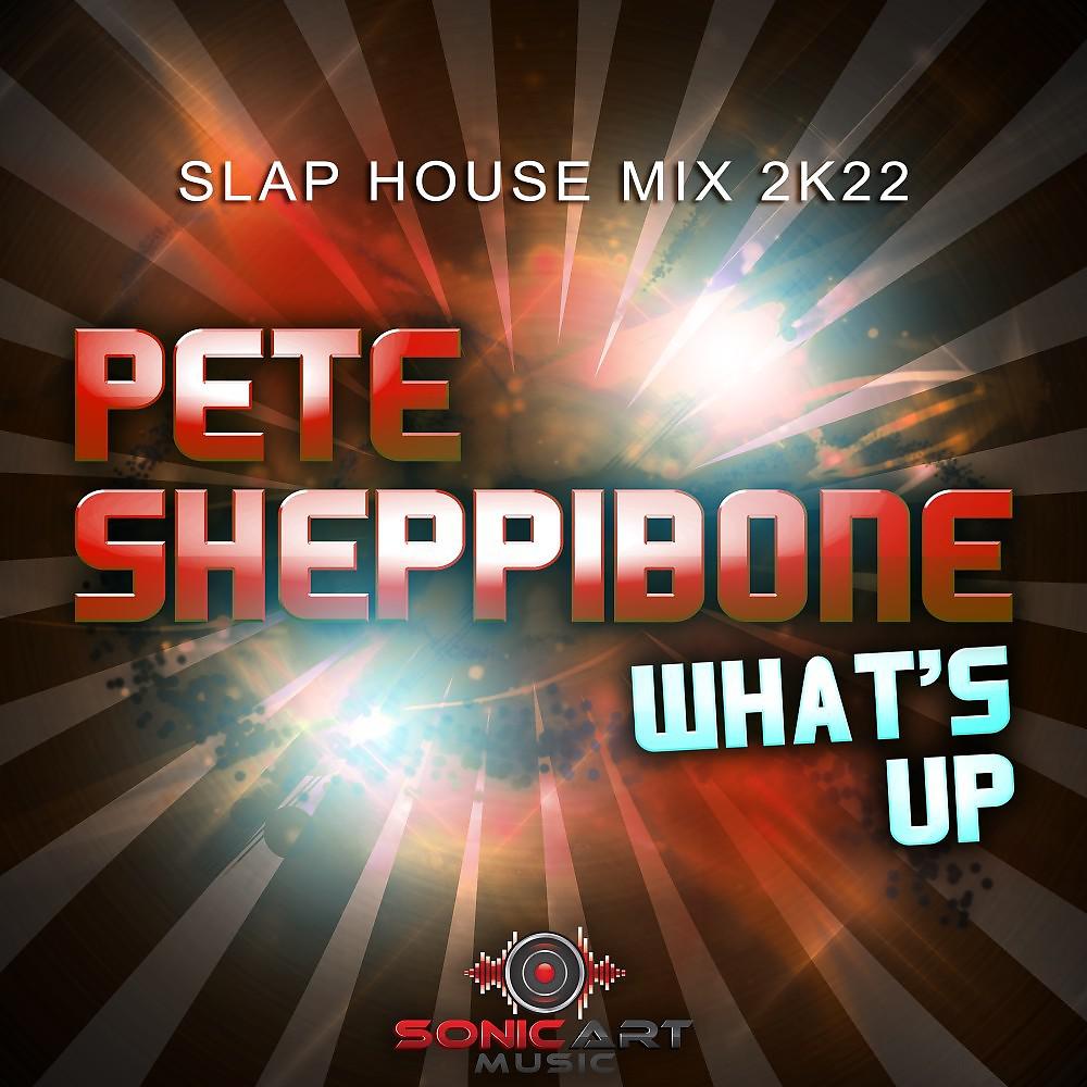 Постер альбома What's Up (Slap House Mix 2K22)