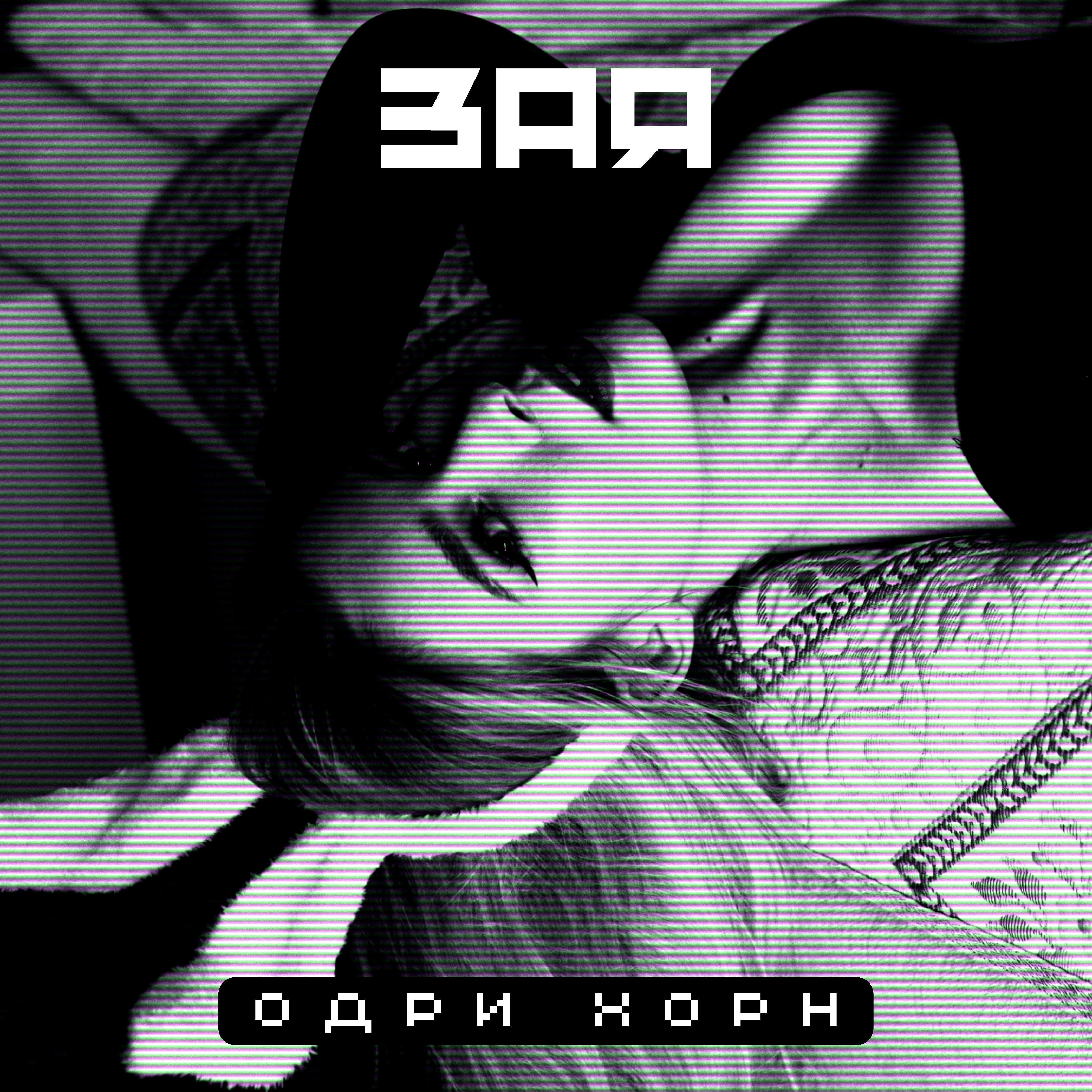 Постер альбома Зая