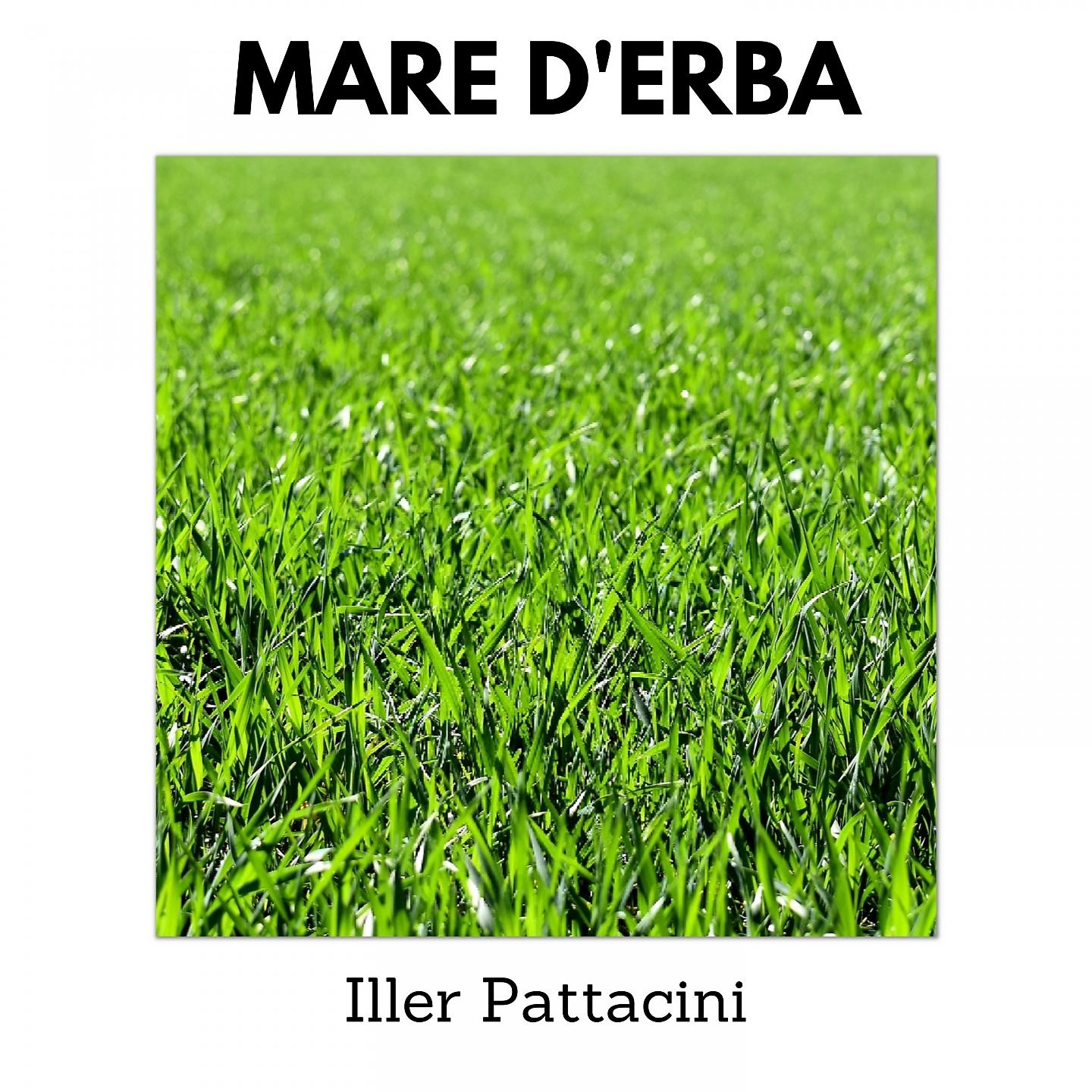 Постер альбома Mare d'erba