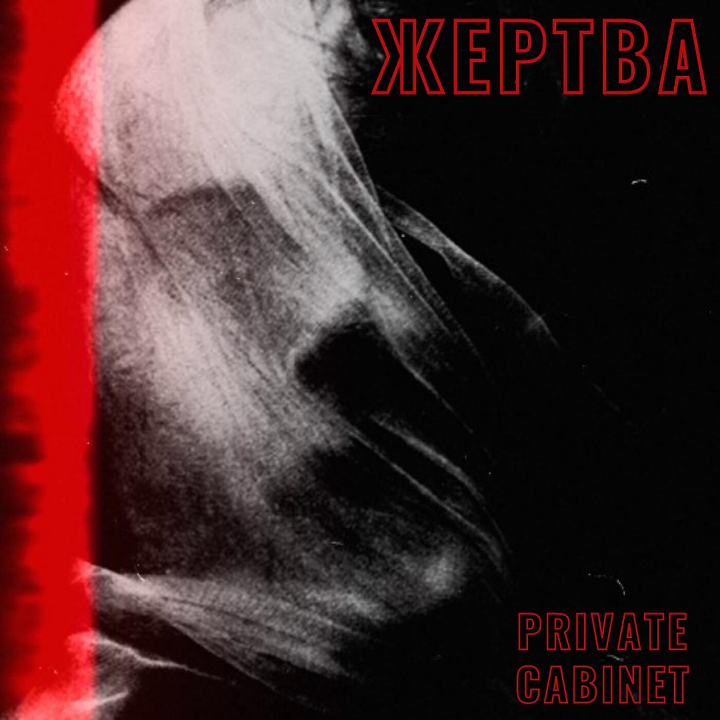 жертва слушать. дженна кеннет книги. Veorns. искаженное сознание. Crack rock steady.