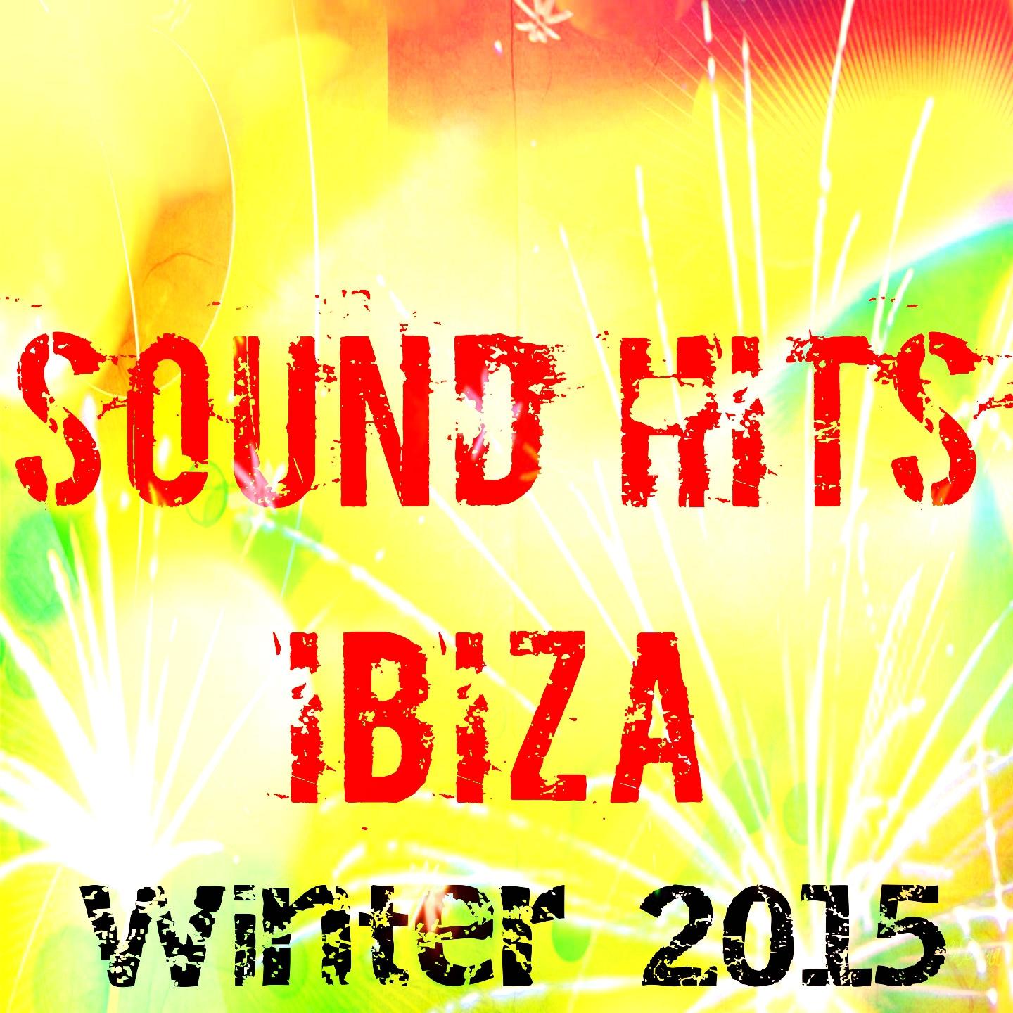 Постер альбома Sound Hits Ibiza Winter 2015