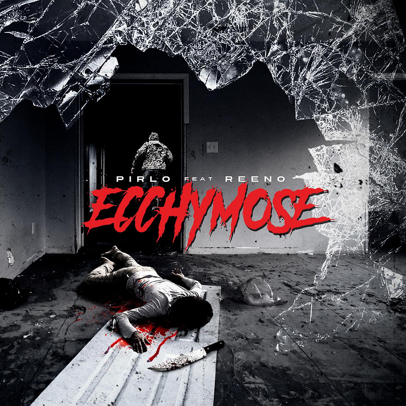 Постер альбома Ecchymose
