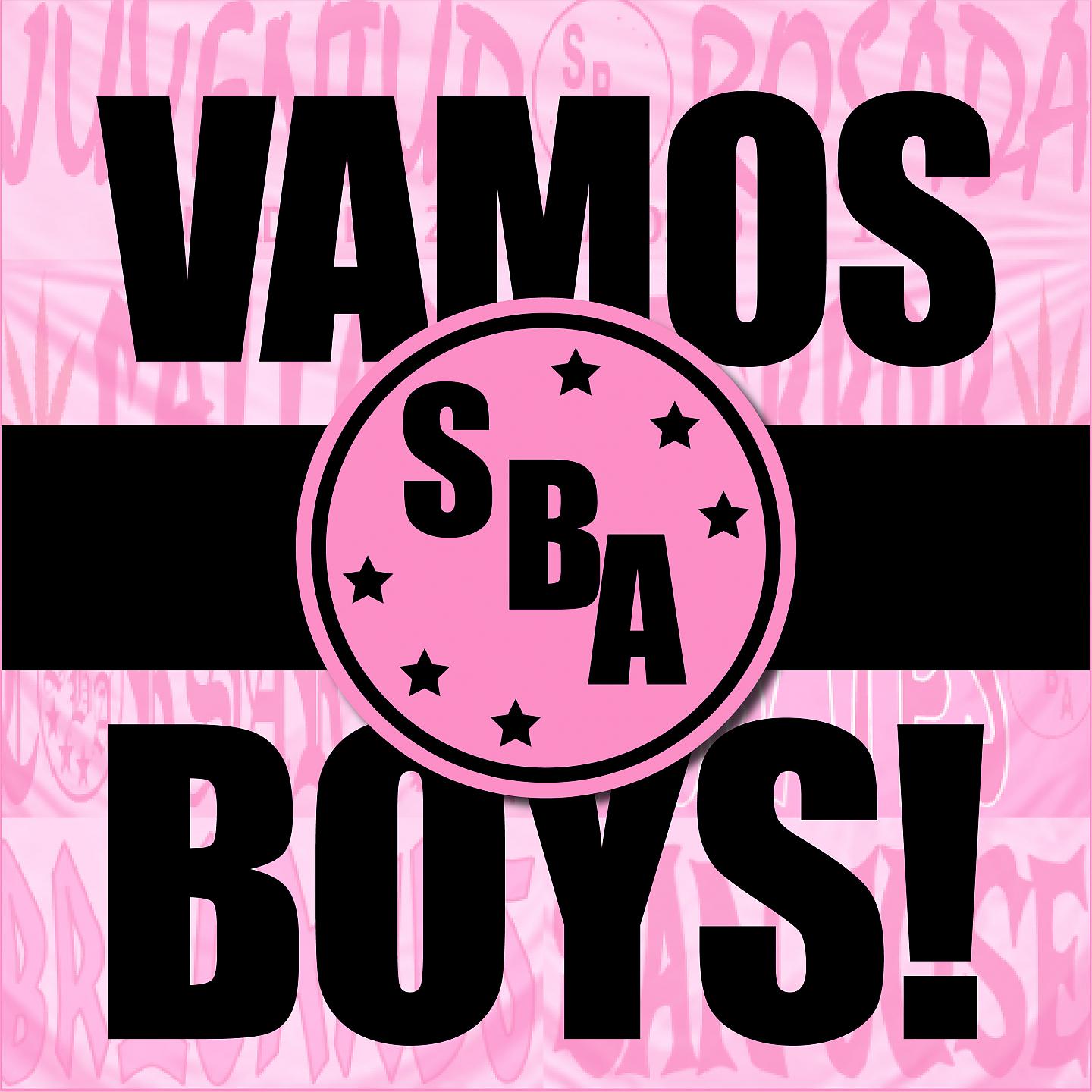 Постер альбома Vamos Boys!