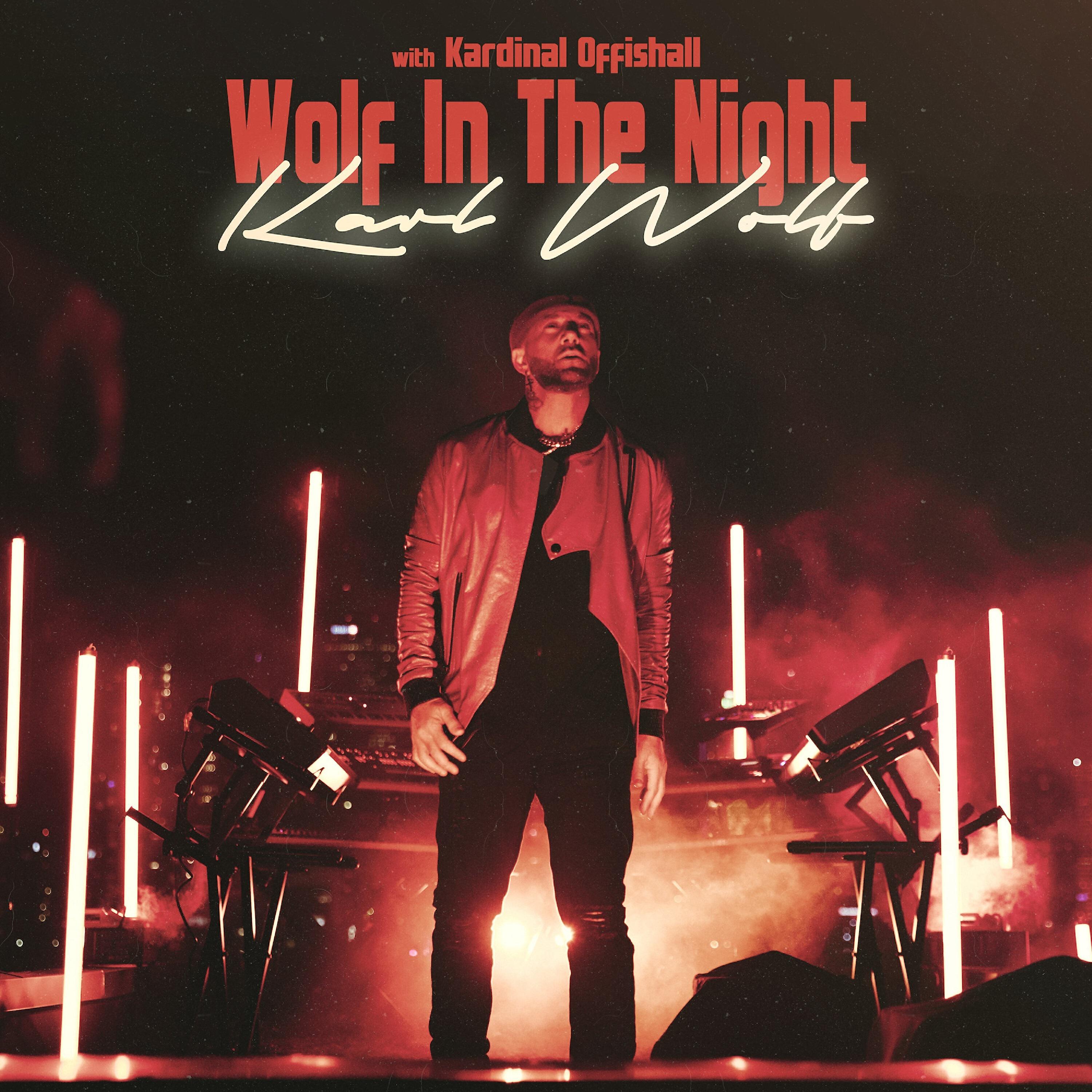 Karl Wolf - Wolf In The Night