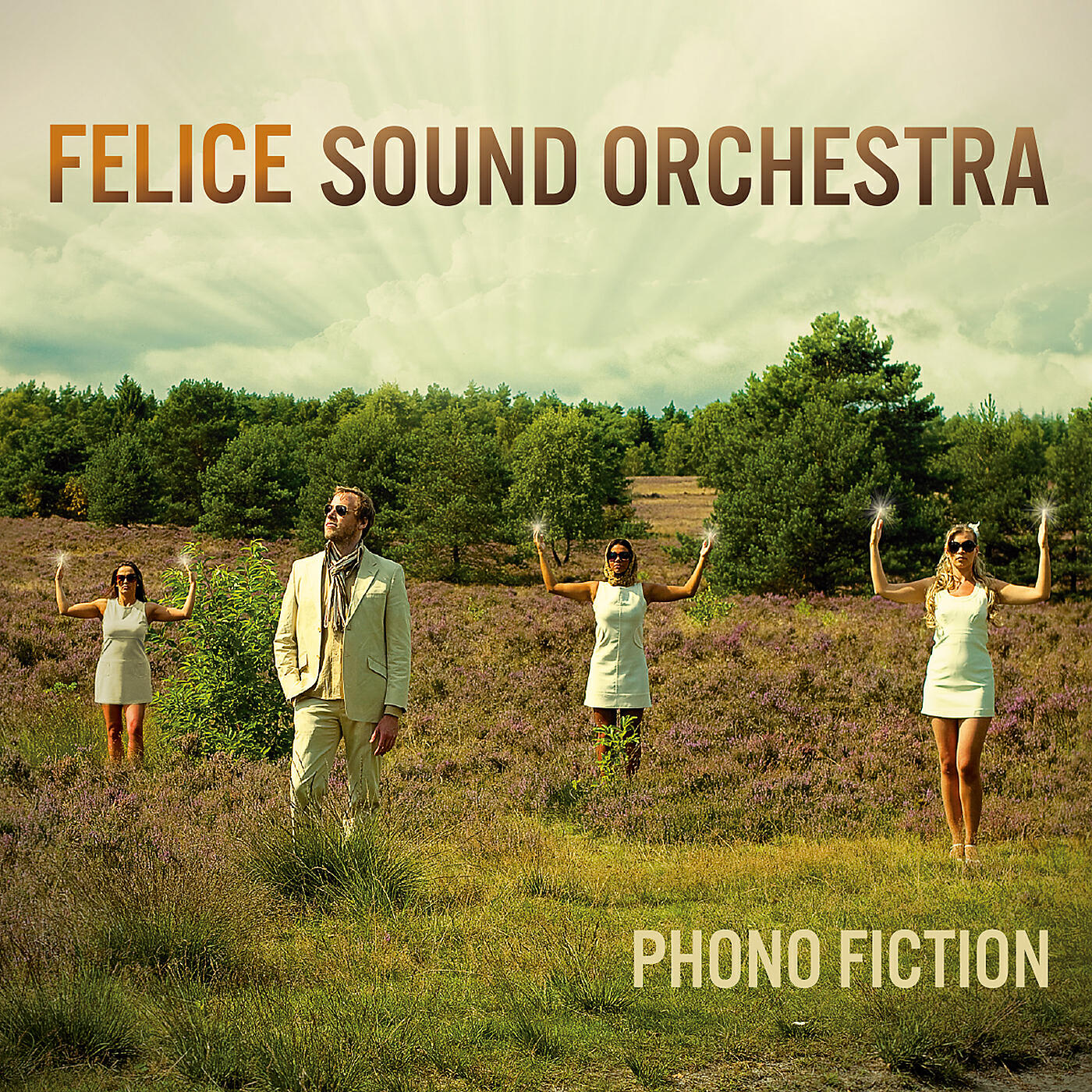 Felice Sound Orchestra - Revenge of a Noby
