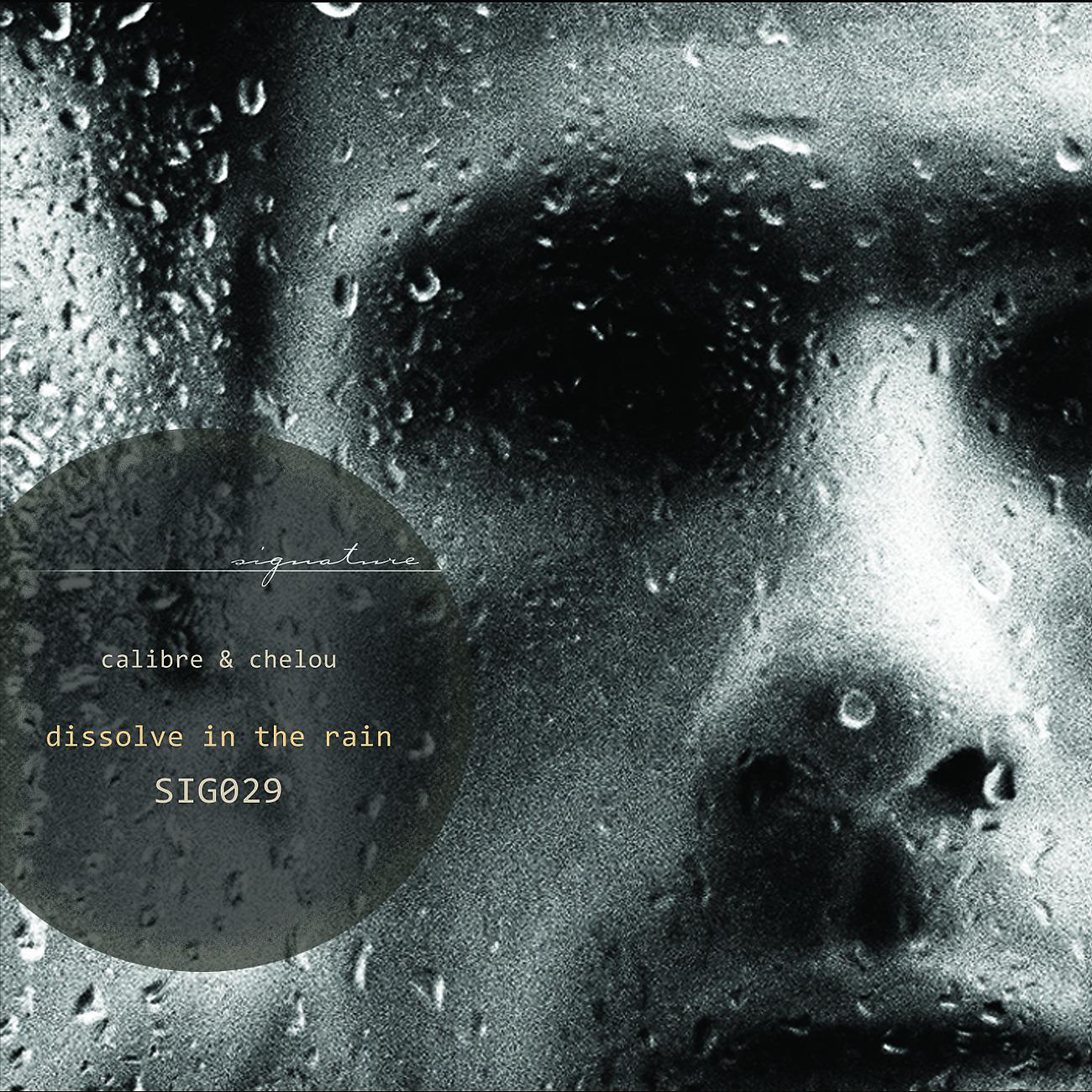 Постер альбома Dissolve In The Rain