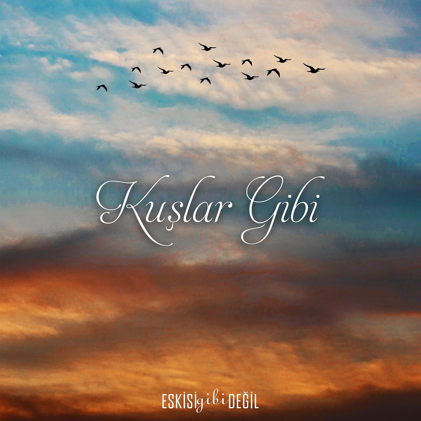 Постер альбома Kuşlar Gibi