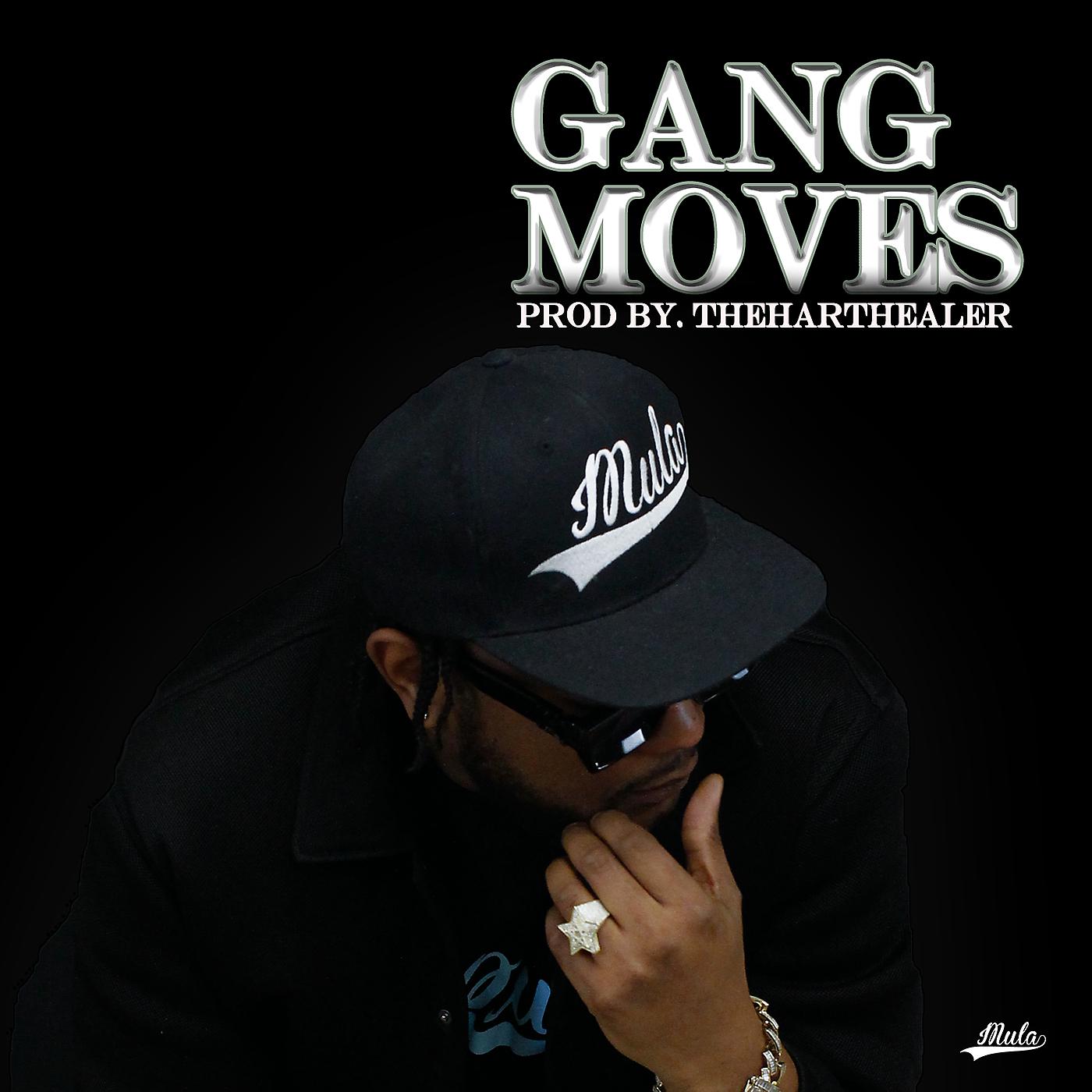 Постер альбома Gang Moves