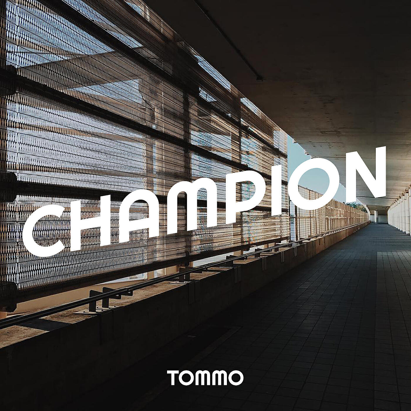 TOMMO - Champion
