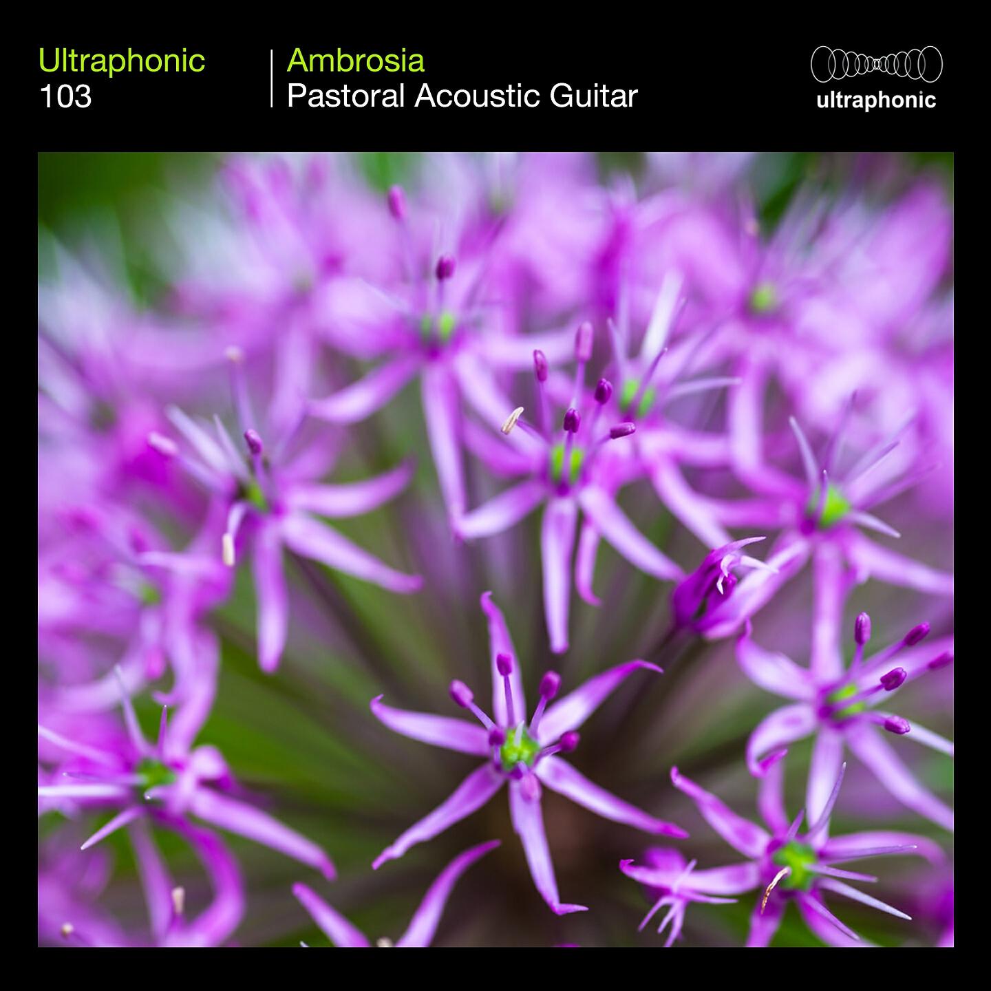 Ultraphonic - Beneficial Calm