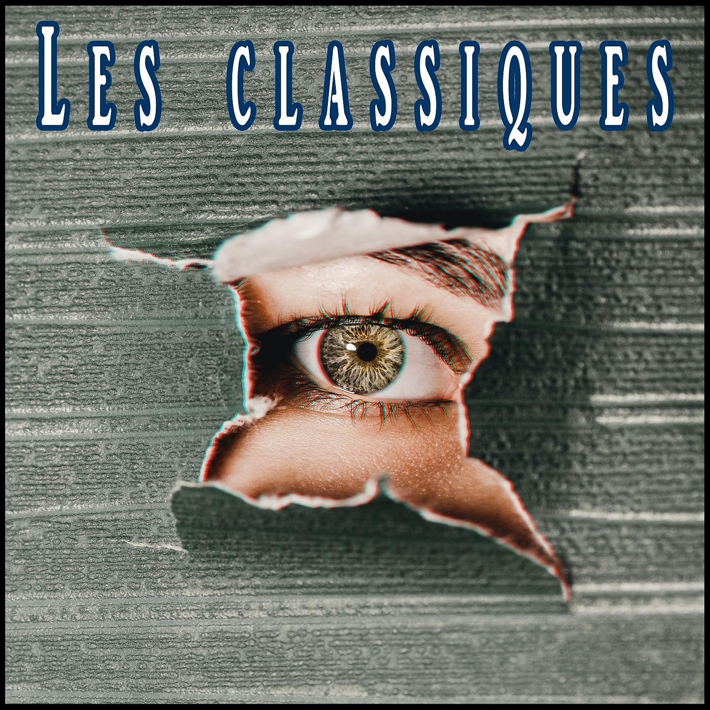 Постер альбома Les classiques
