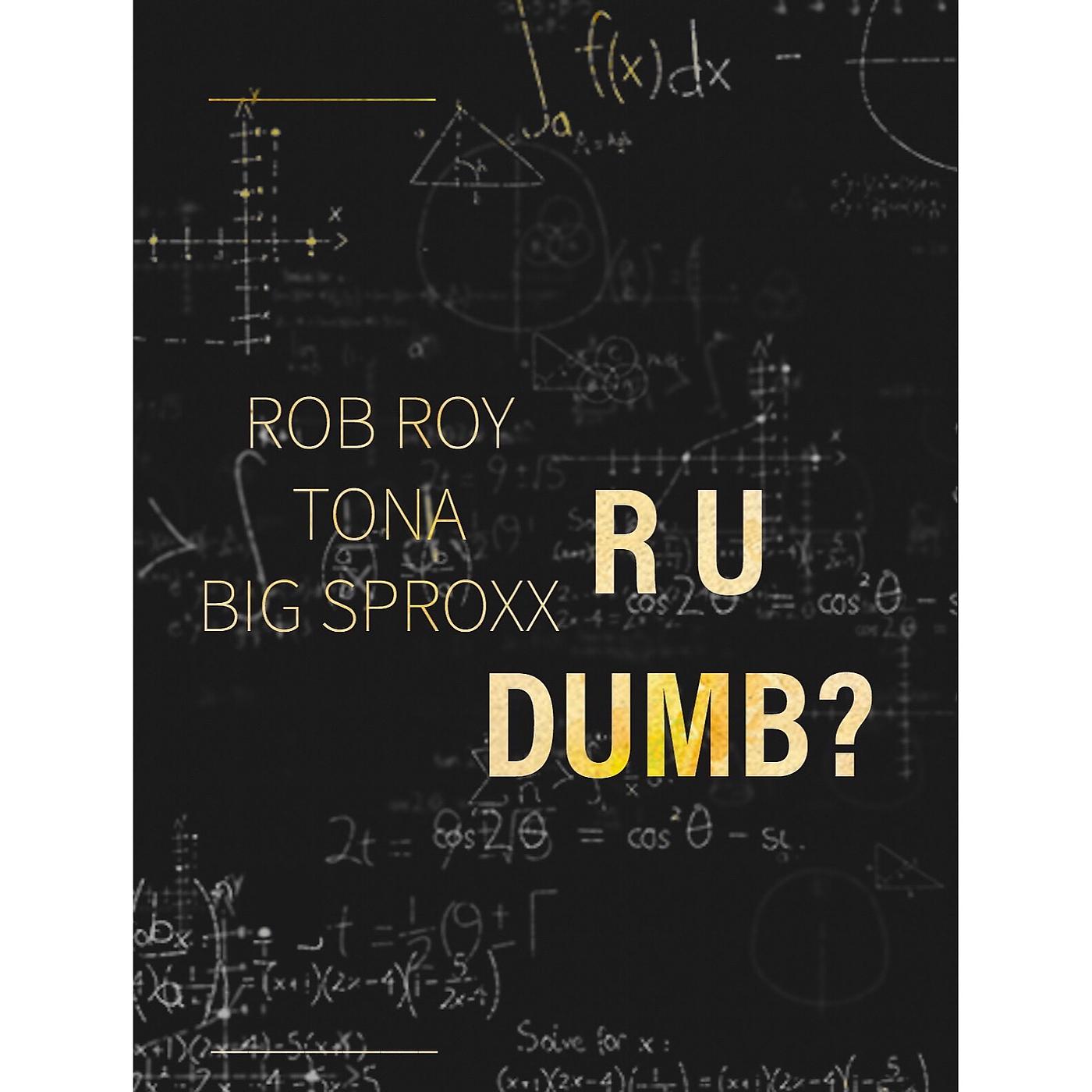 Постер альбома R U Dumb?