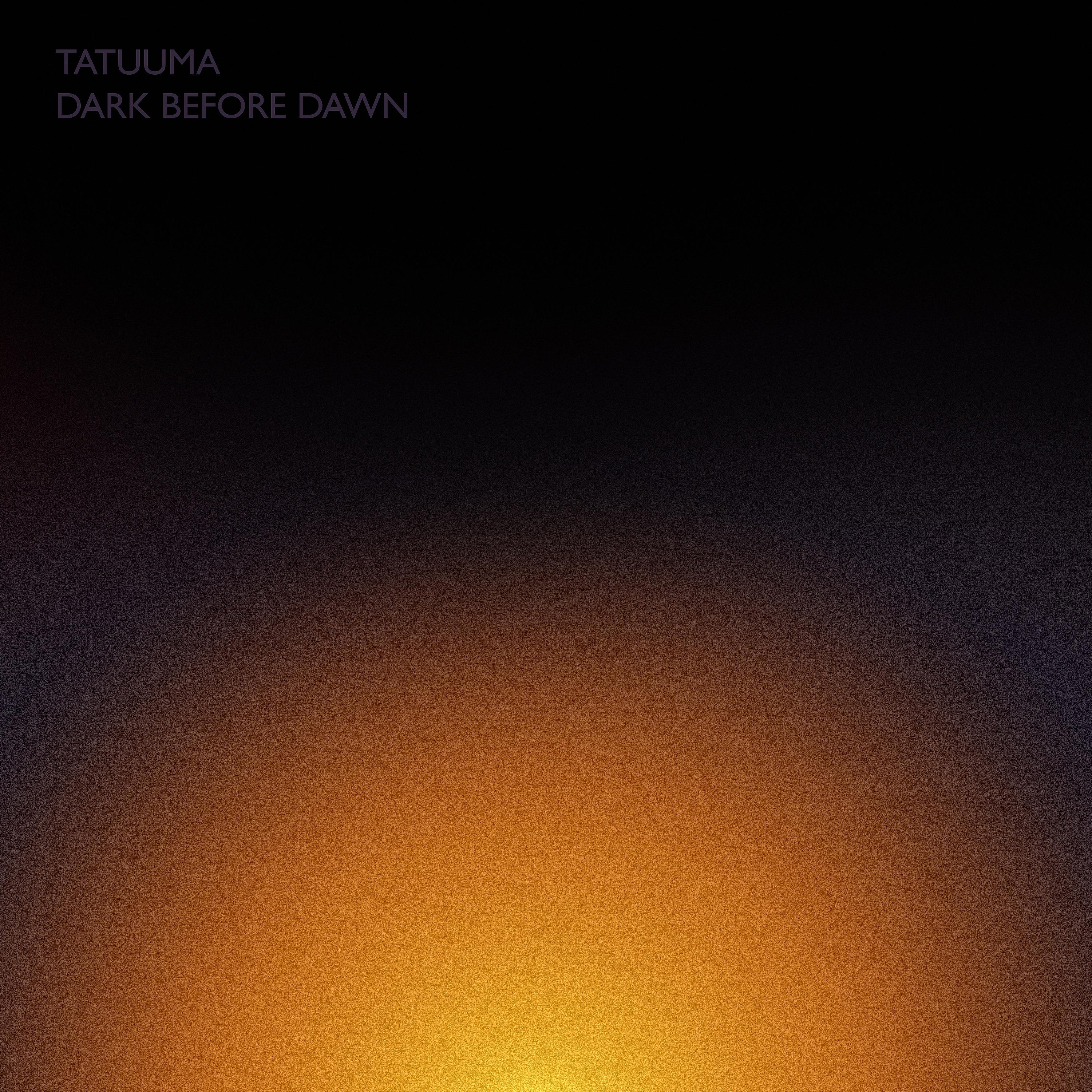 Постер альбома Dark Before Dawn
