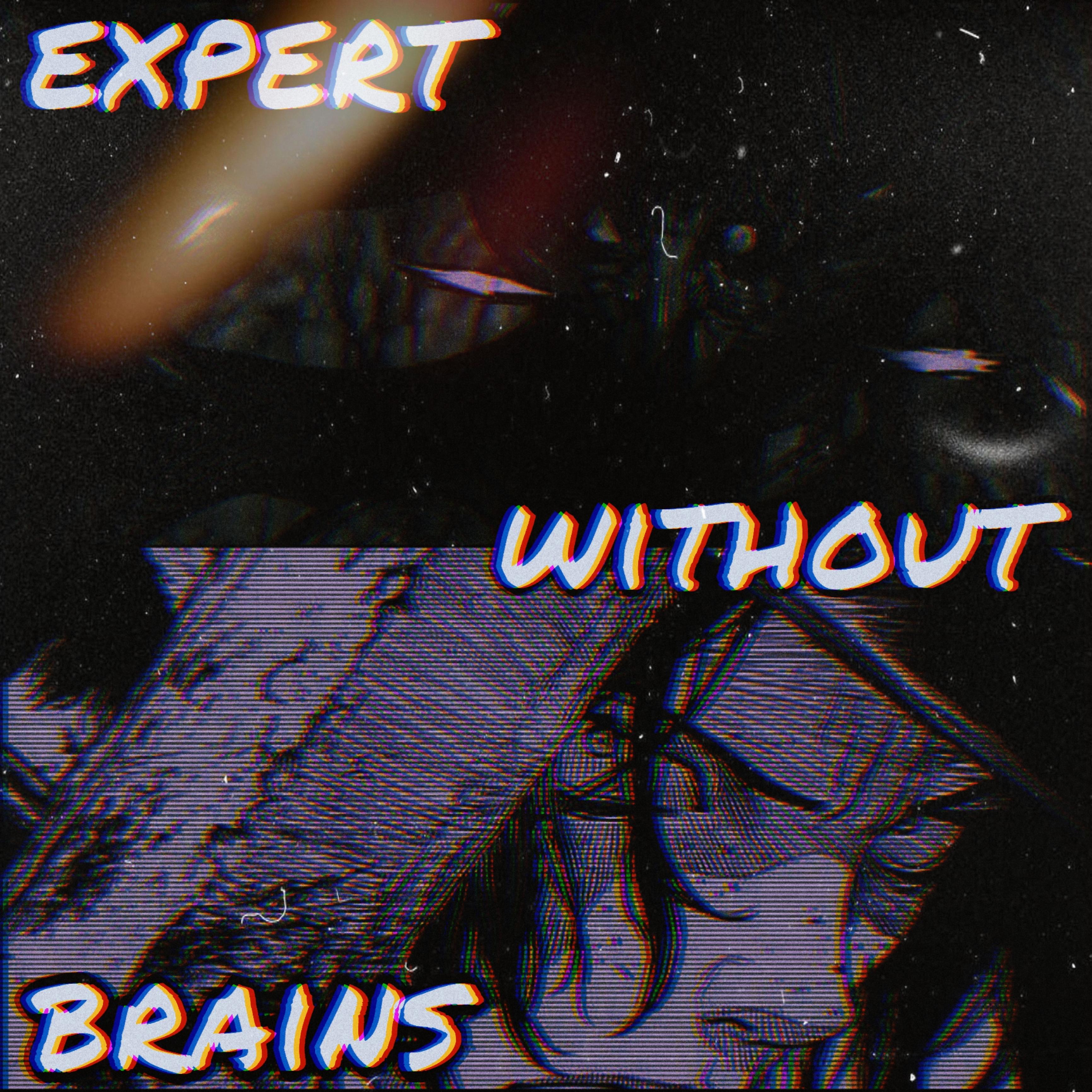 Постер альбома Expert Without Brains