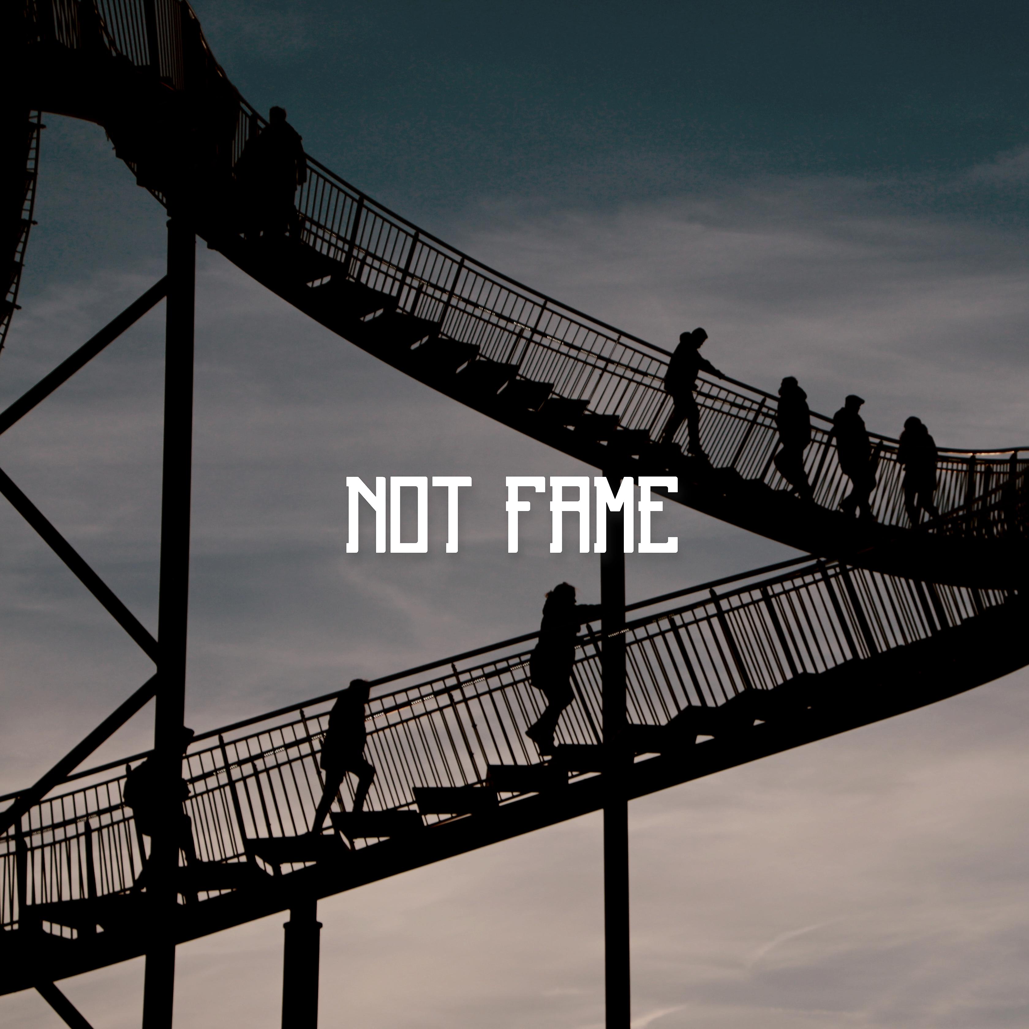 Постер альбома Not Fame