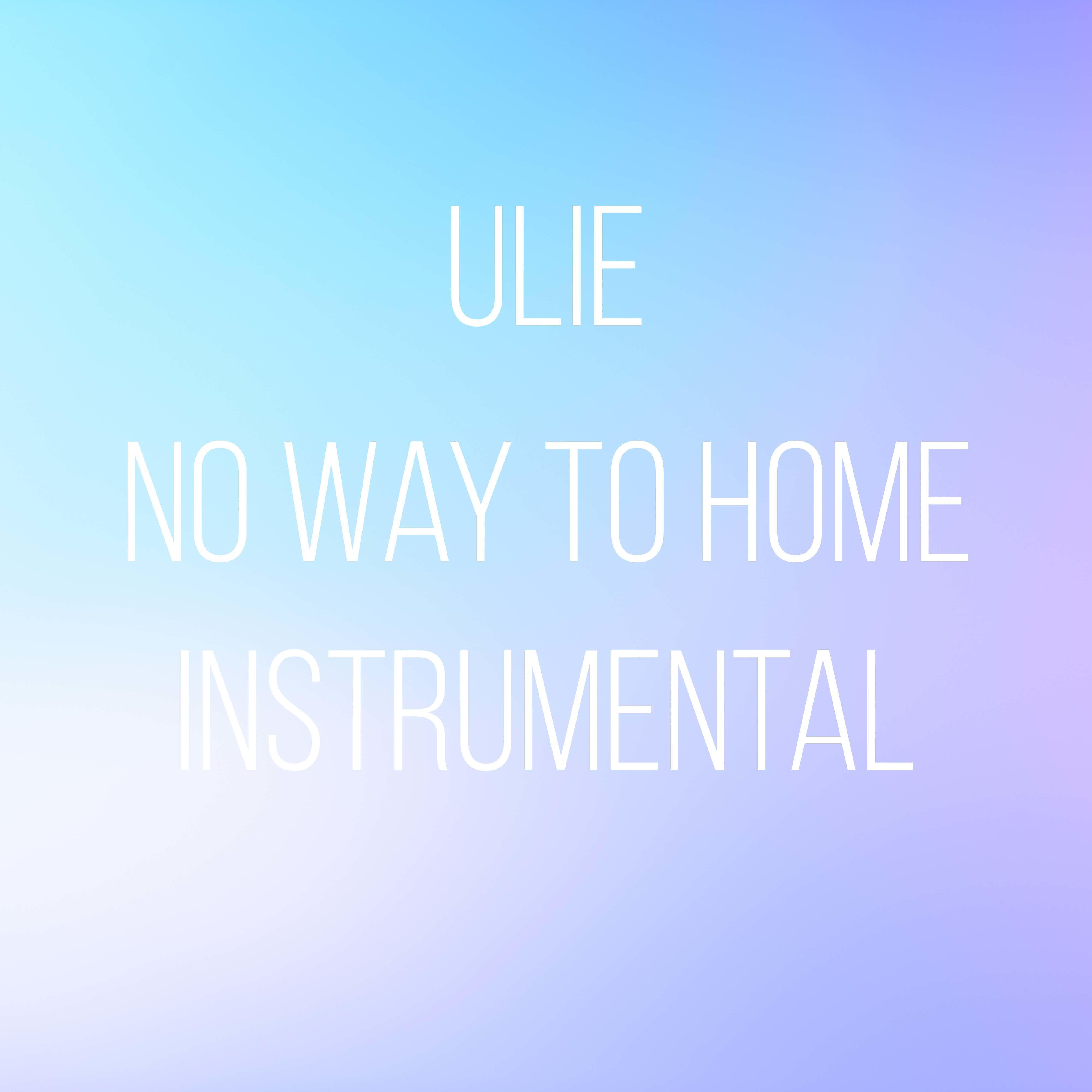 Постер альбома No Way to Home (Instrumental)