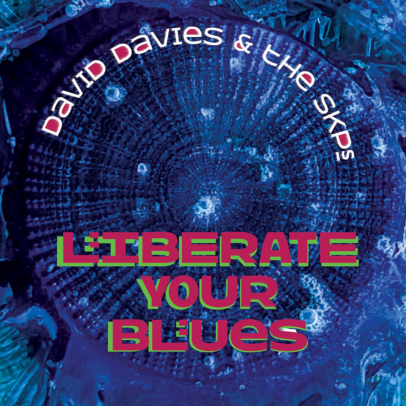 Постер альбома Liberate Your Blues