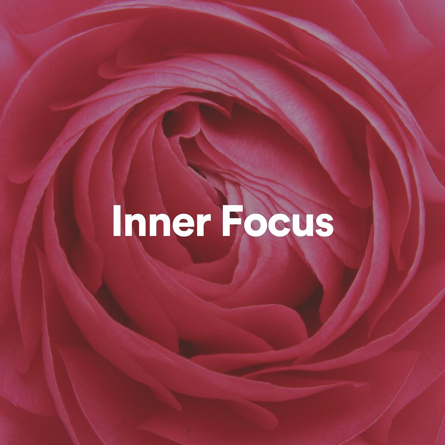 Постер альбома Inner Focus