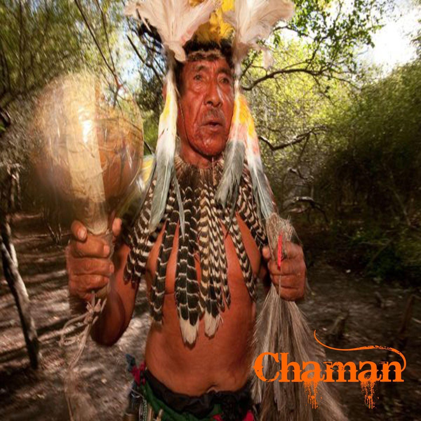 Постер альбома Chaman