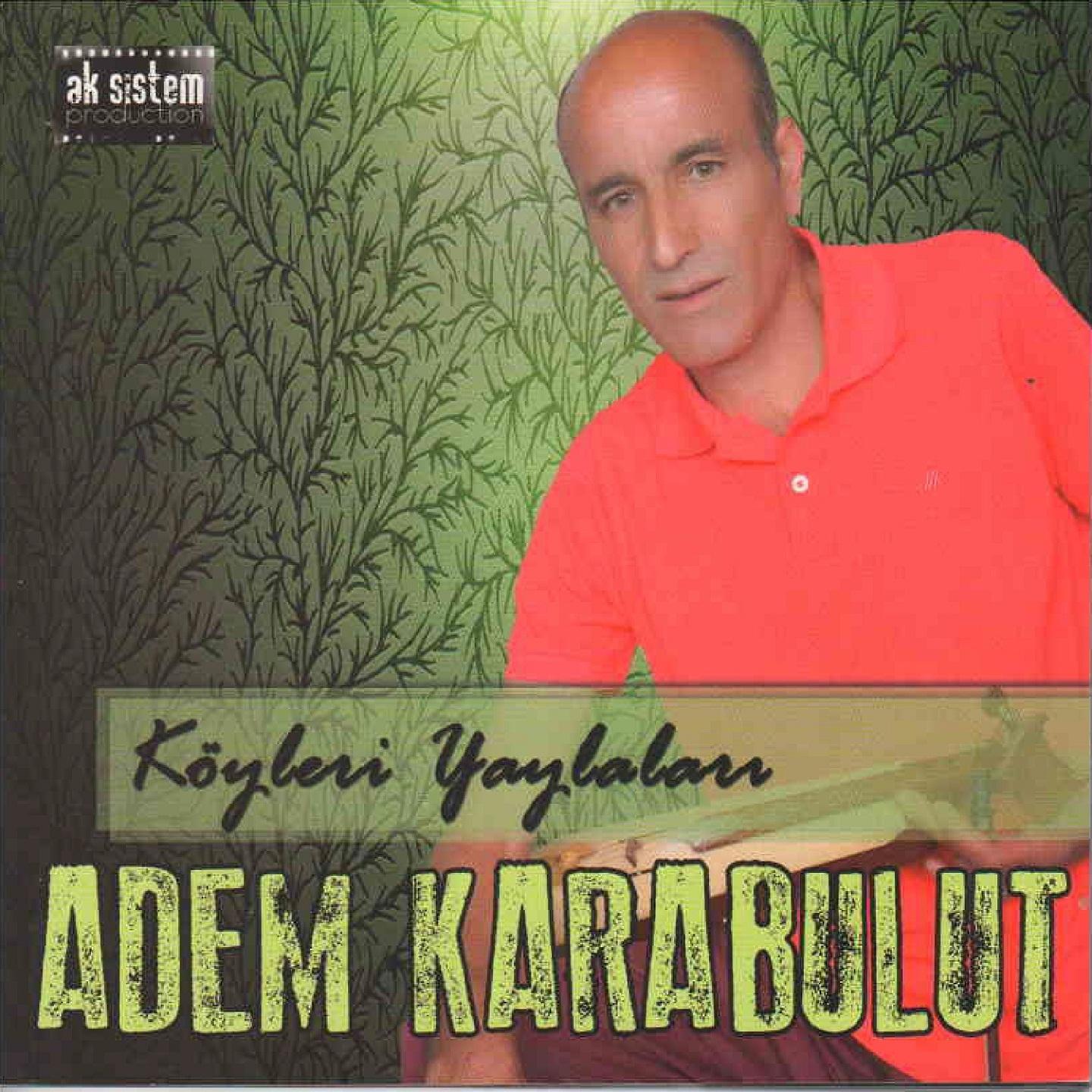 Постер альбома Köyleri Yaylaları