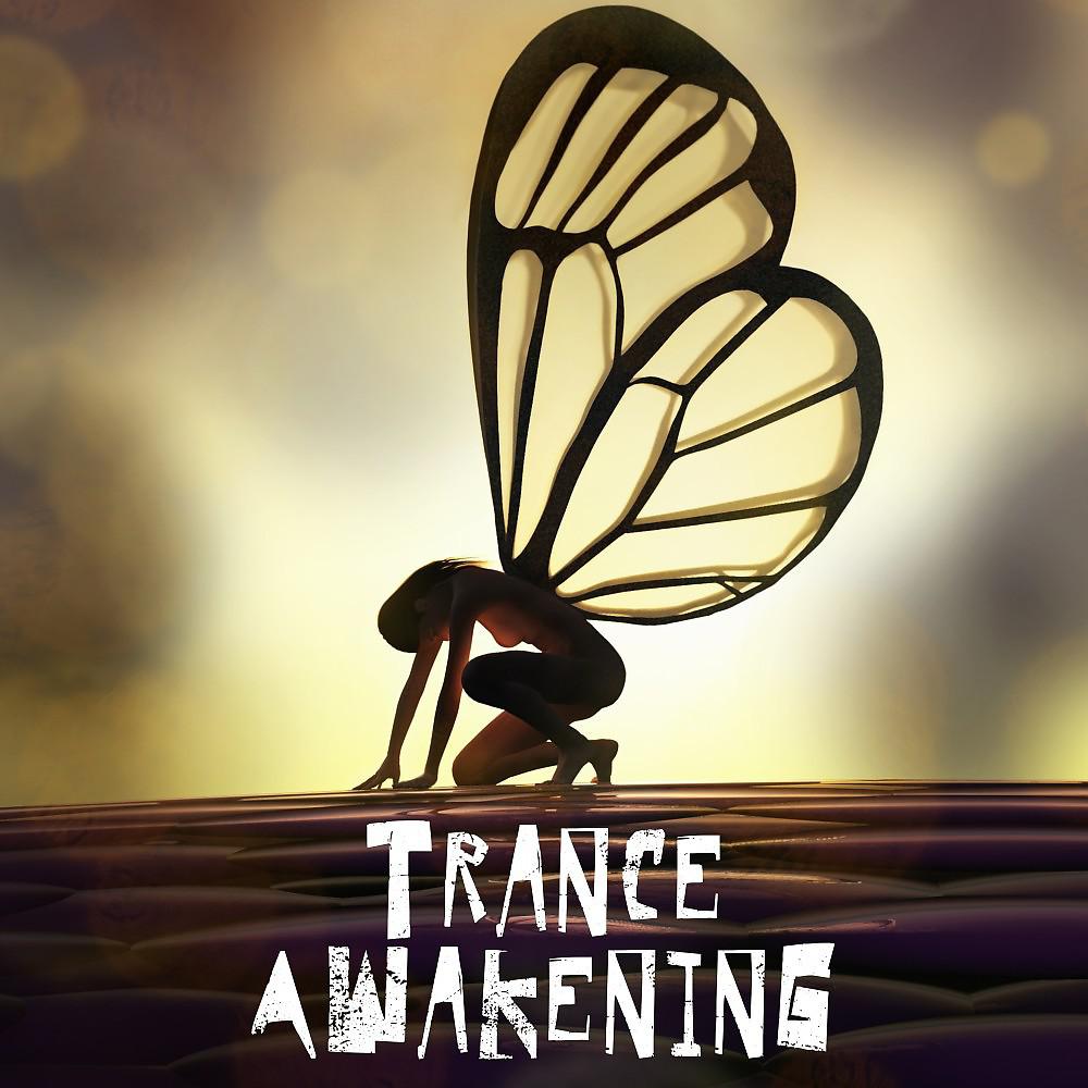 Постер альбома Trance Awakening