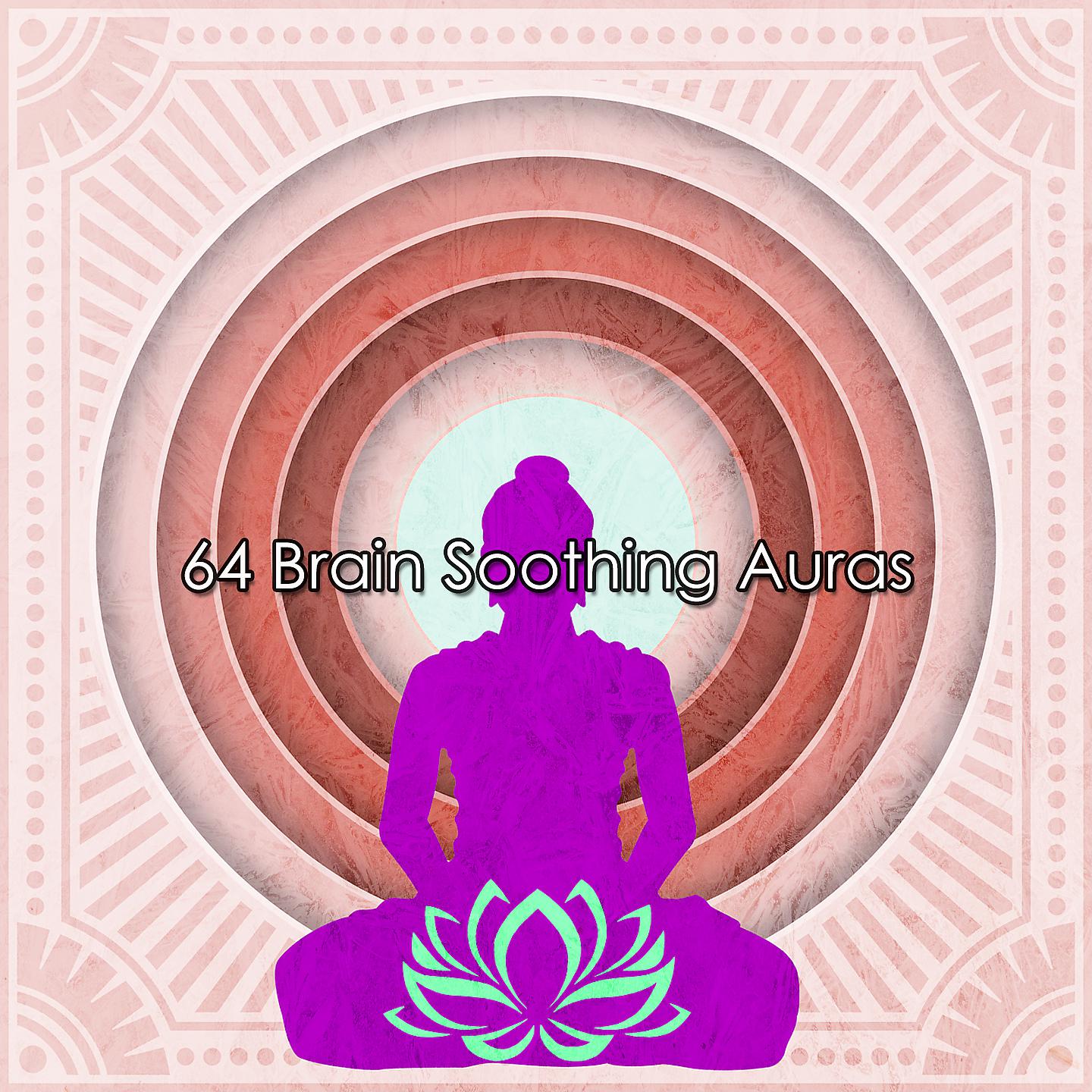 Постер альбома 64 успокаивающих ауры для мозга