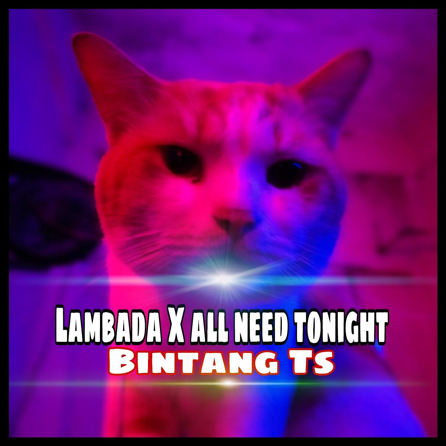 Постер альбома Lambada X All Need Tonight
