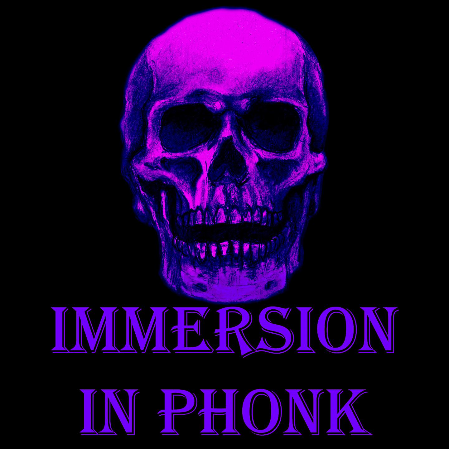 Постер альбома IMMERSION IN PHONK