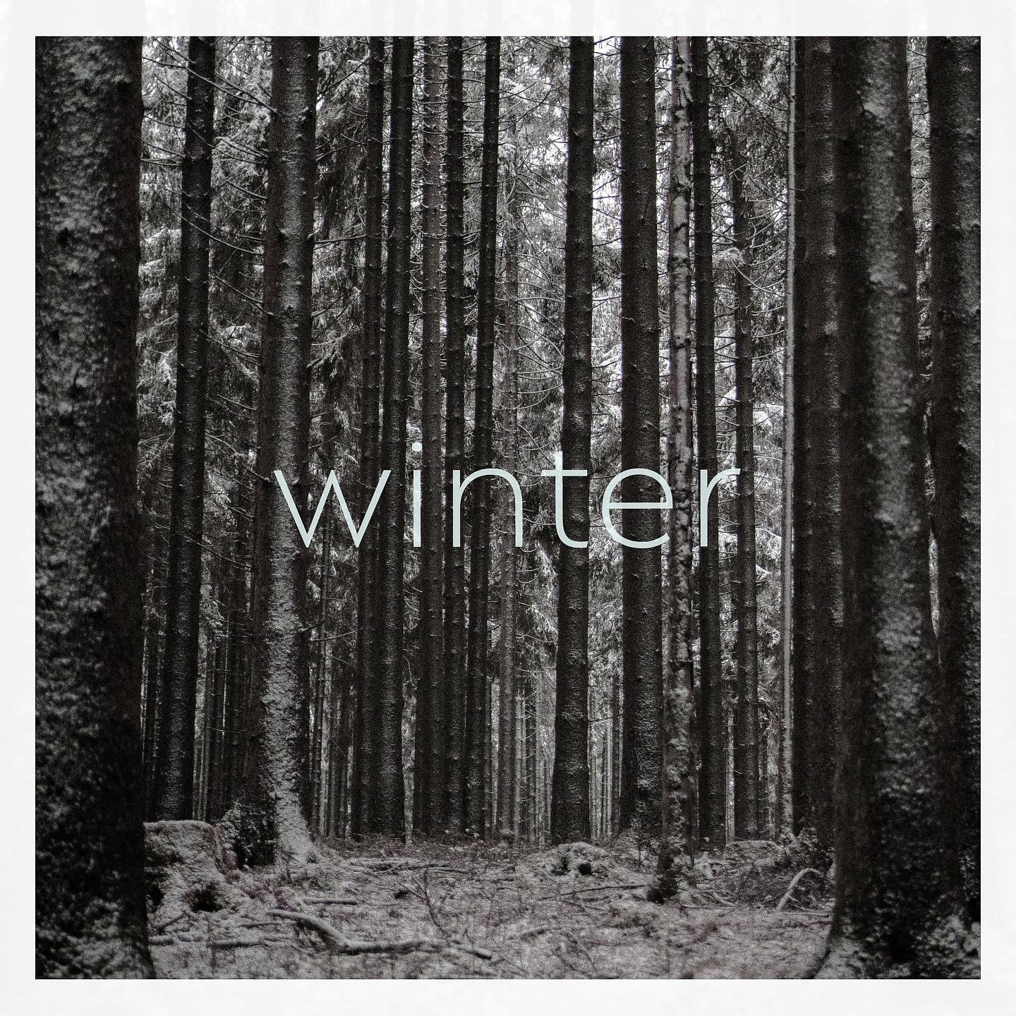 Постер альбома Vier Jahreszeiten - Winter