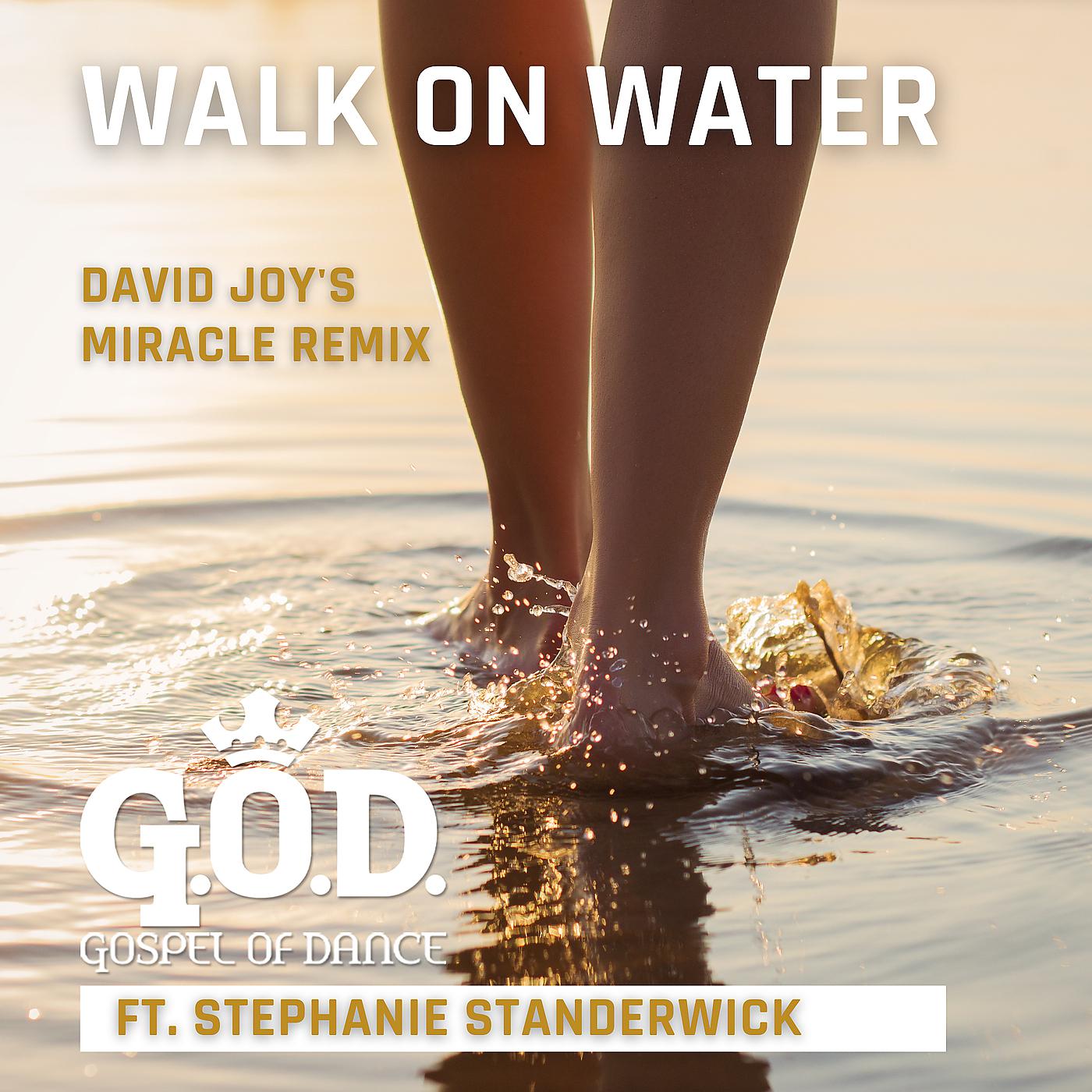 Постер альбома Walk on Water (David Joy's Miracle Remix)