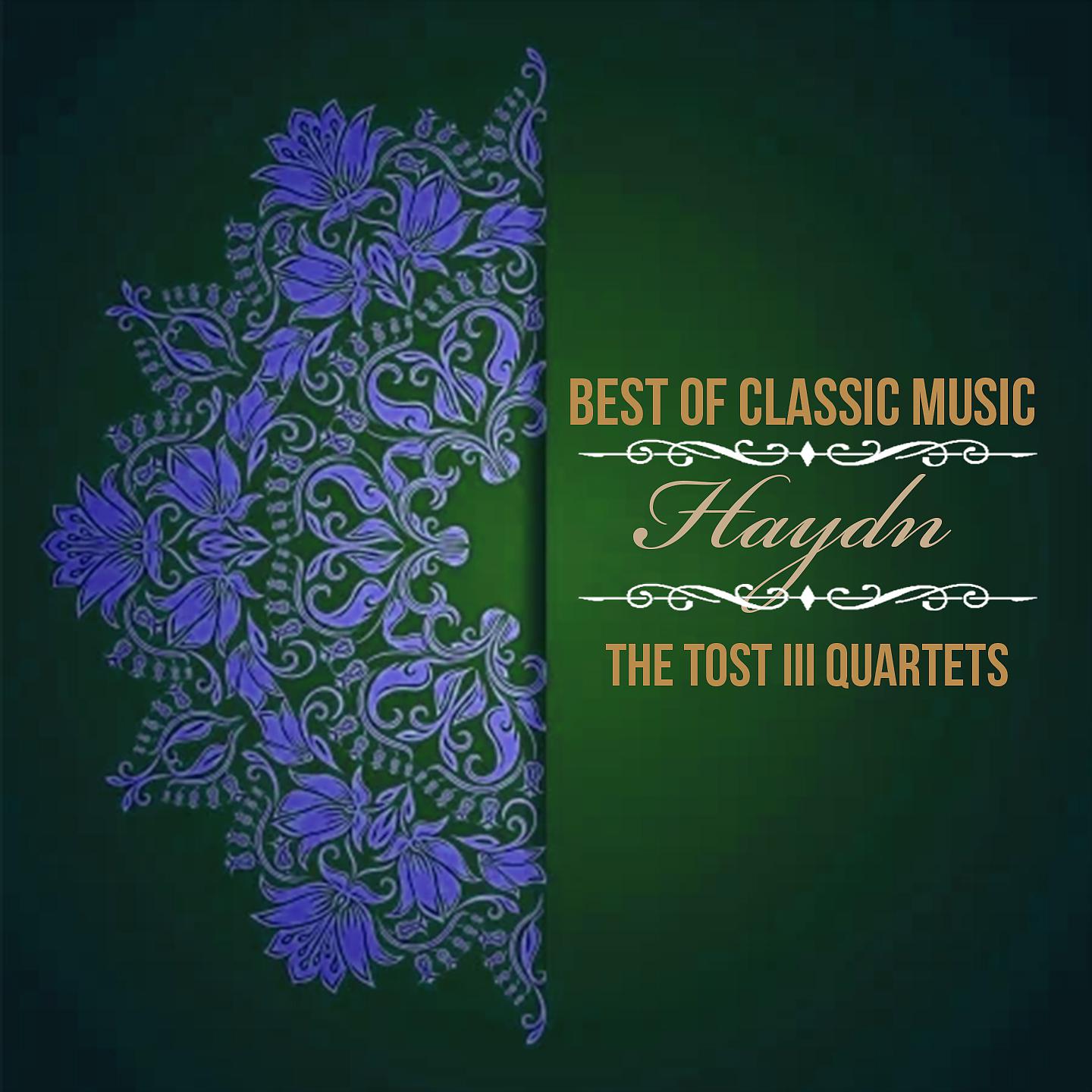 Постер альбома Best of Classic Music, Haydn - String Quartet No. 67
