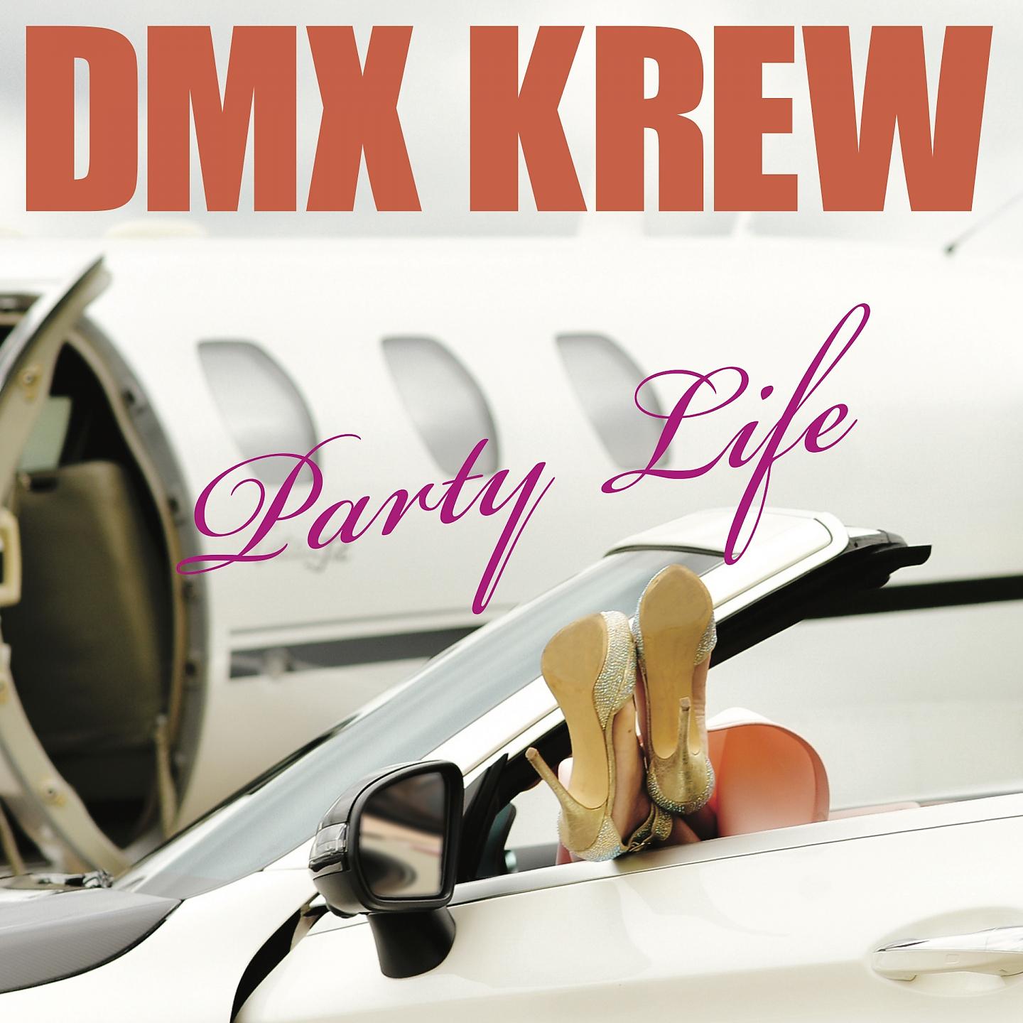 Постер альбома Party Life