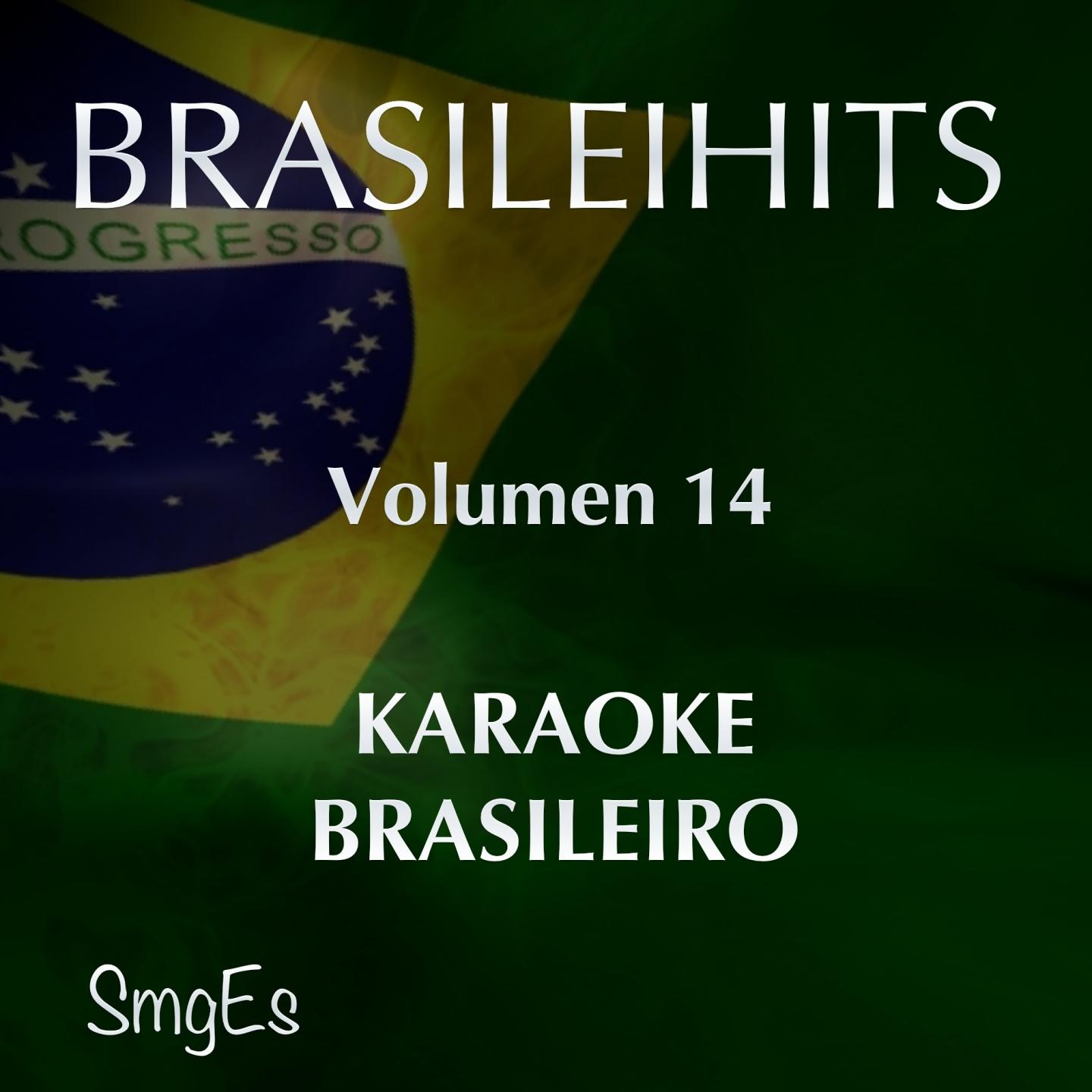 Постер альбома BrasileiHits, Vol. 14 (Karaoke Version)