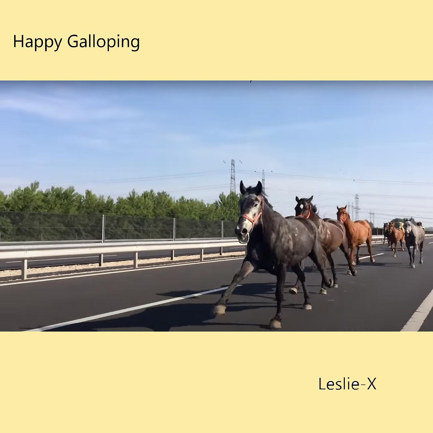 Постер альбома Happy Galloping