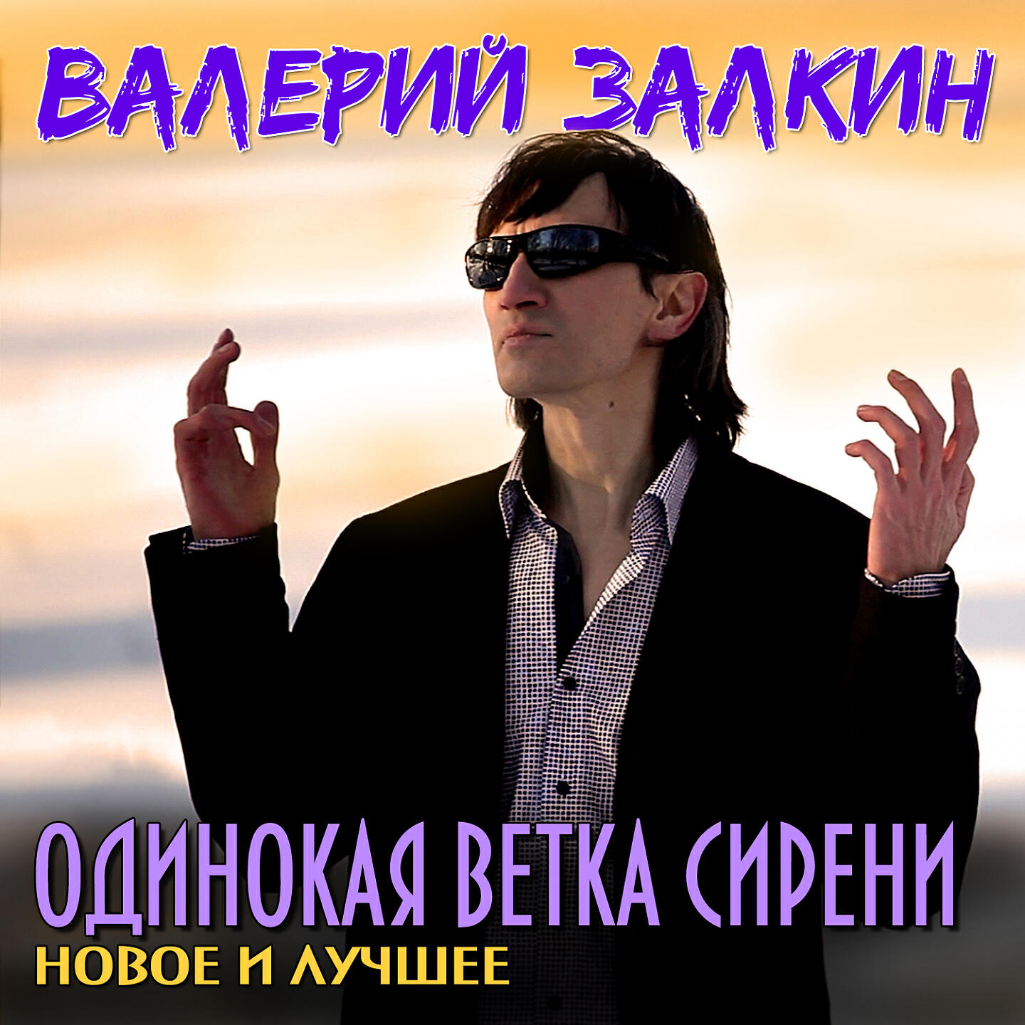 Валерий Залкин Википедия