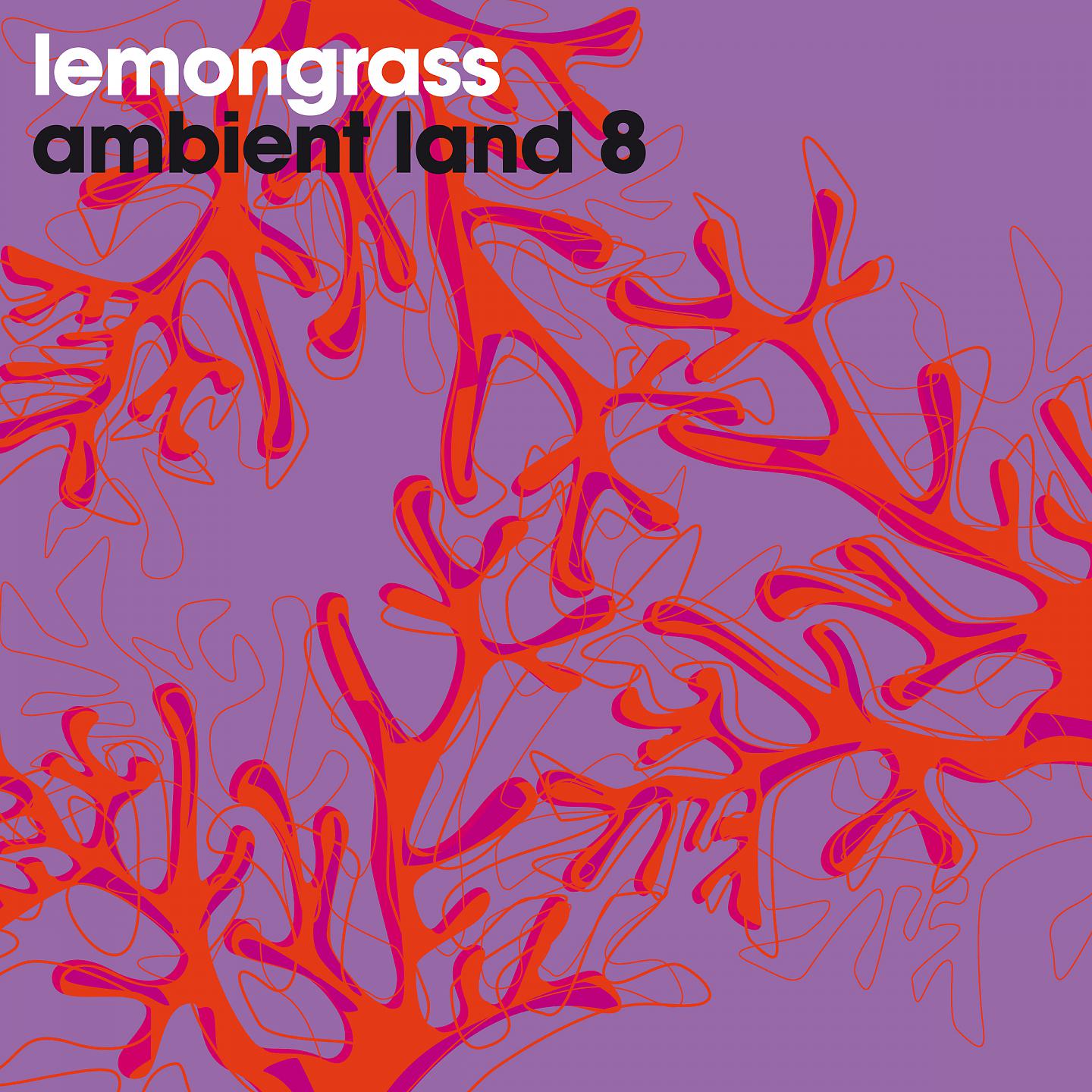 Постер альбома Ambient Land 8