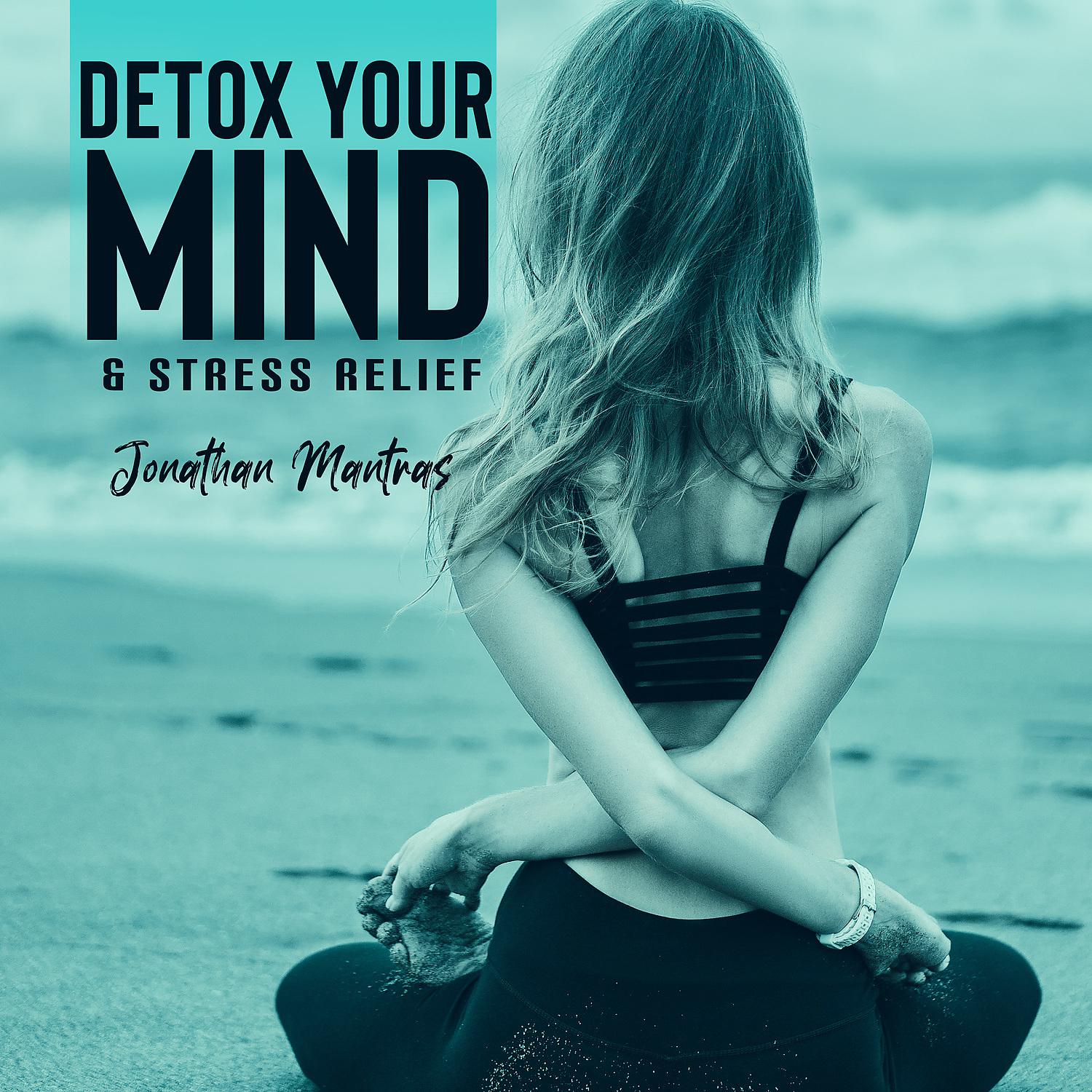 Постер альбома Detox Your Mind & Stress Relief