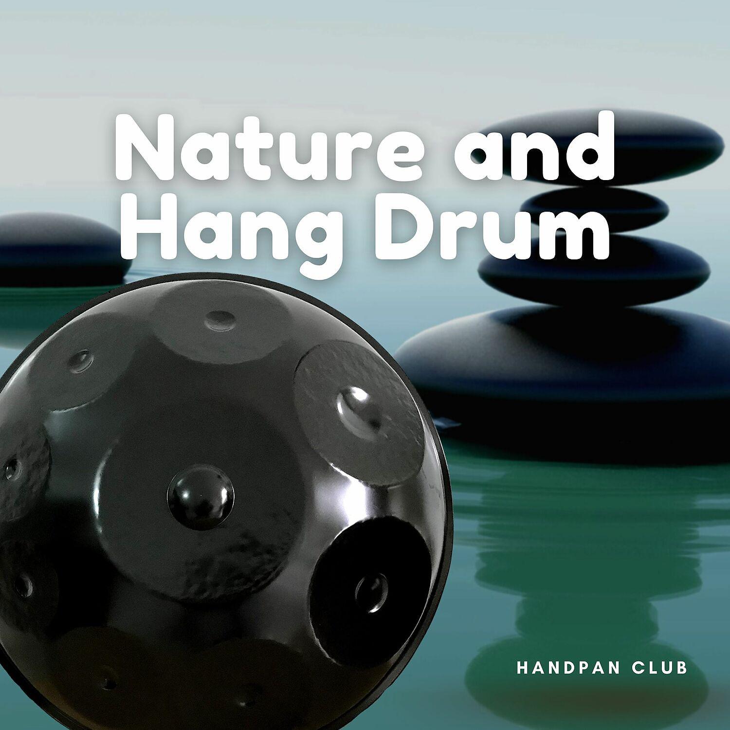 Постер альбома Soothing Nature and Hang Drum Music