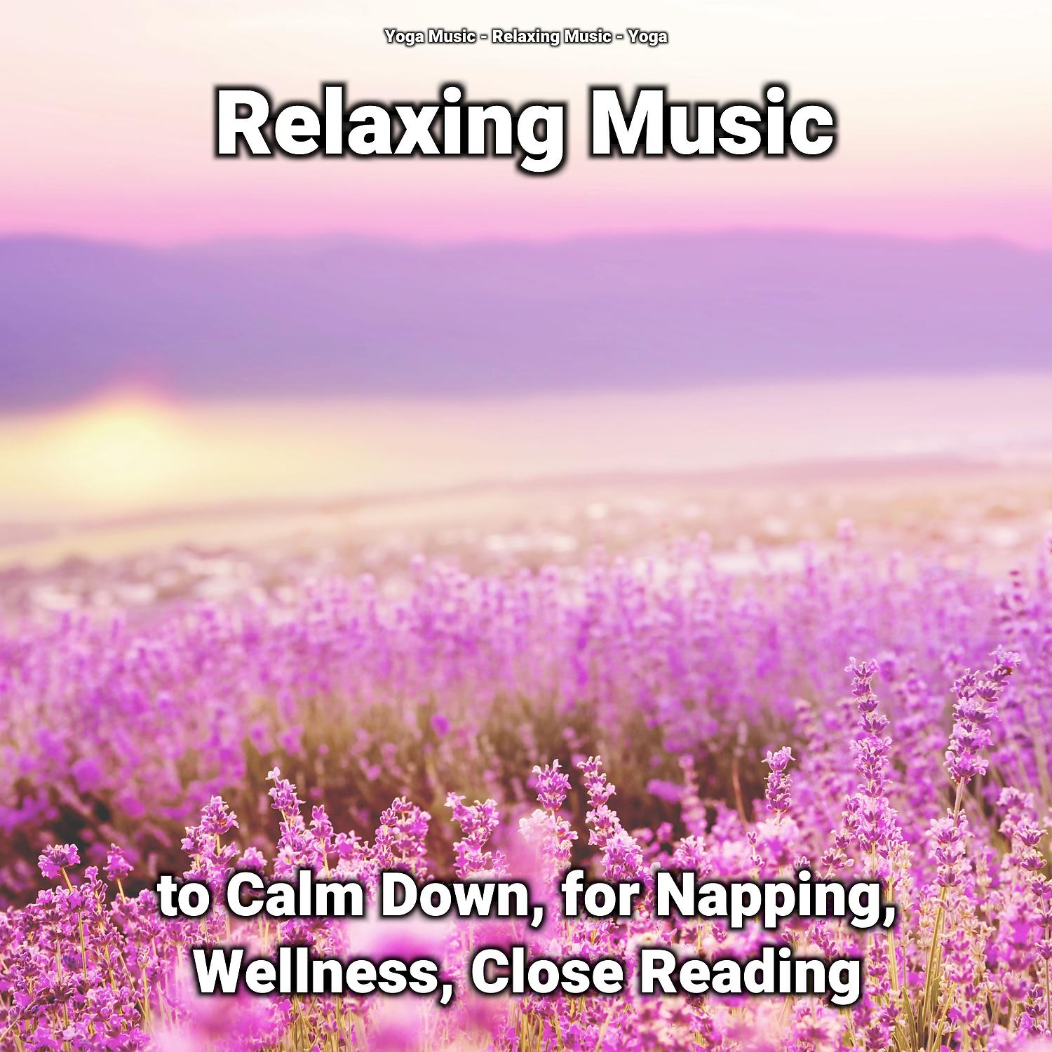 Постер альбома Relaxing Music to Calm Down, for Napping, Wellness, Close Reading