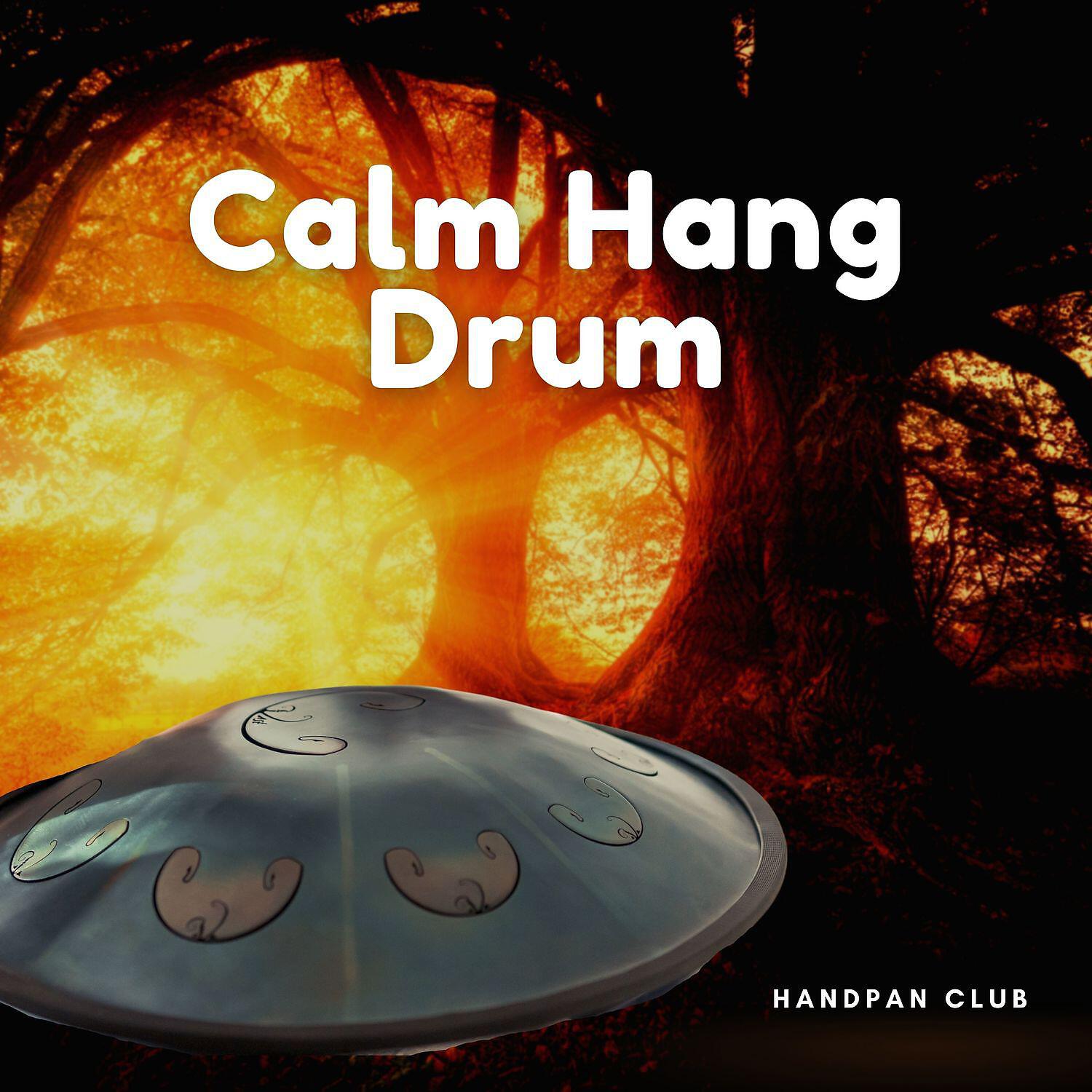 Handpan Club - Pan-Art Hang Meditation (Chill Drums with Nature Sounds)