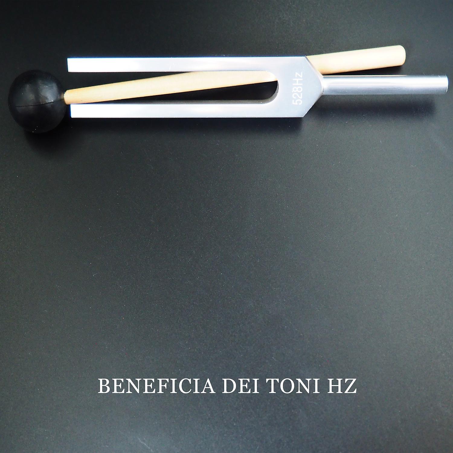 Постер альбома Beneficia dei toni Hz: Meditazioni per maggiore chiarezza, pace interiore e sovranità