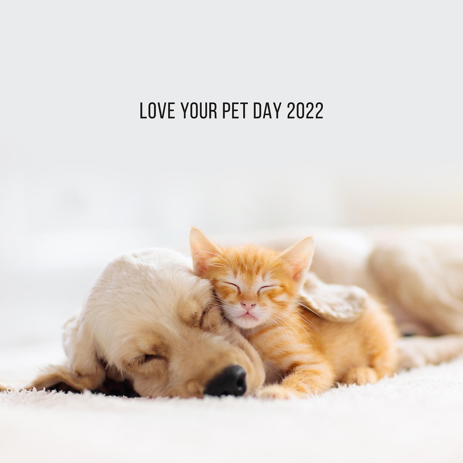Постер альбома Love Your Pet Day 2022: Happy Celebration with Your Pets