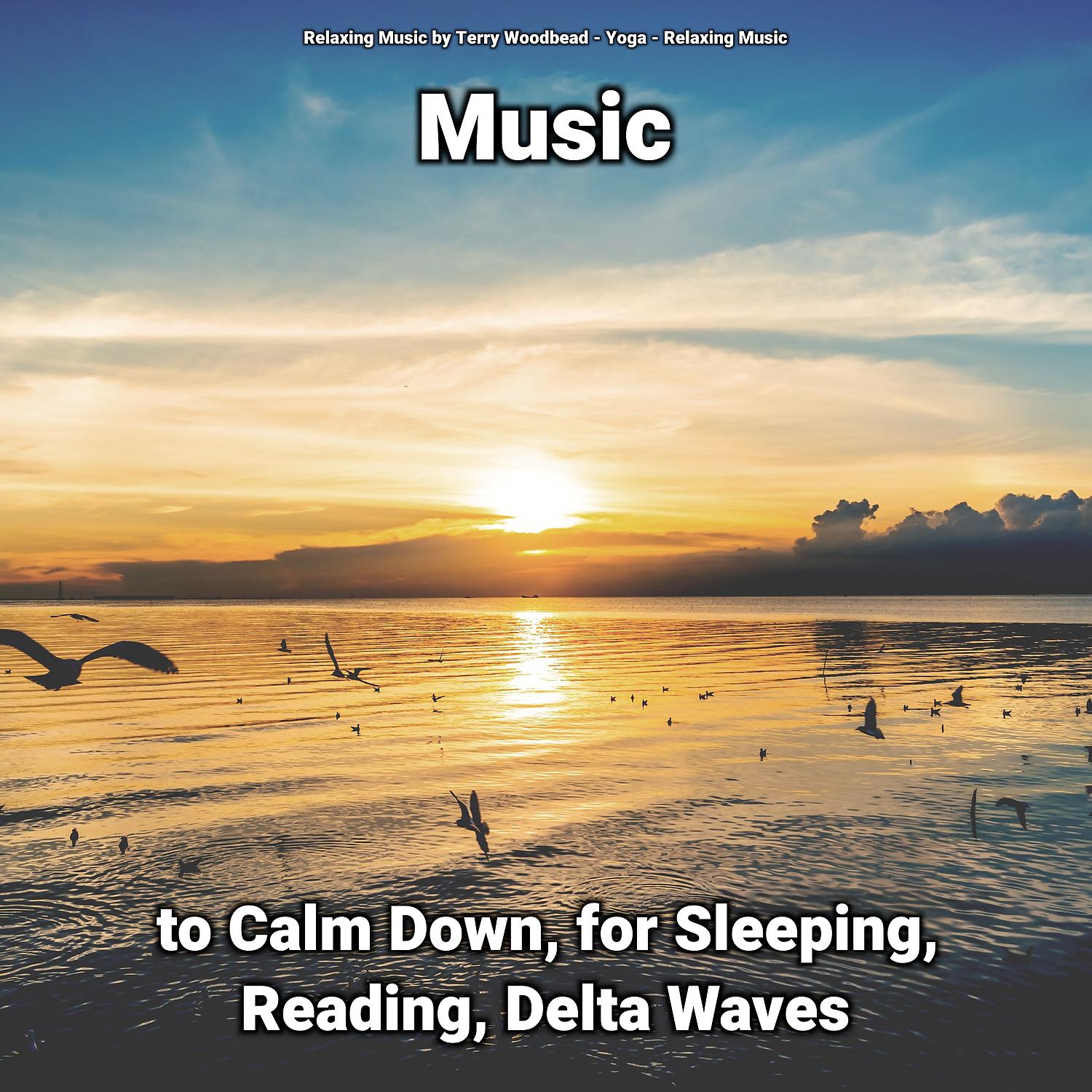 Постер альбома Music to Calm Down, for Sleeping, Reading, Delta Waves