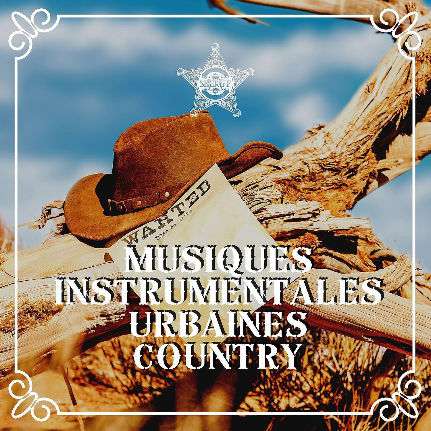 Постер альбома Musiques instrumentales urbaines country