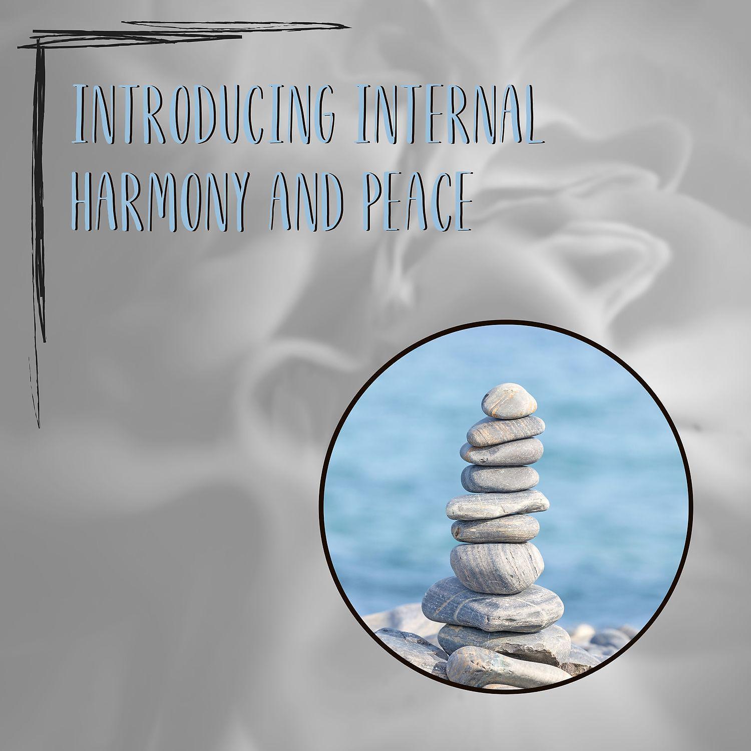 Постер альбома Introducing Internal Harmony and Peace