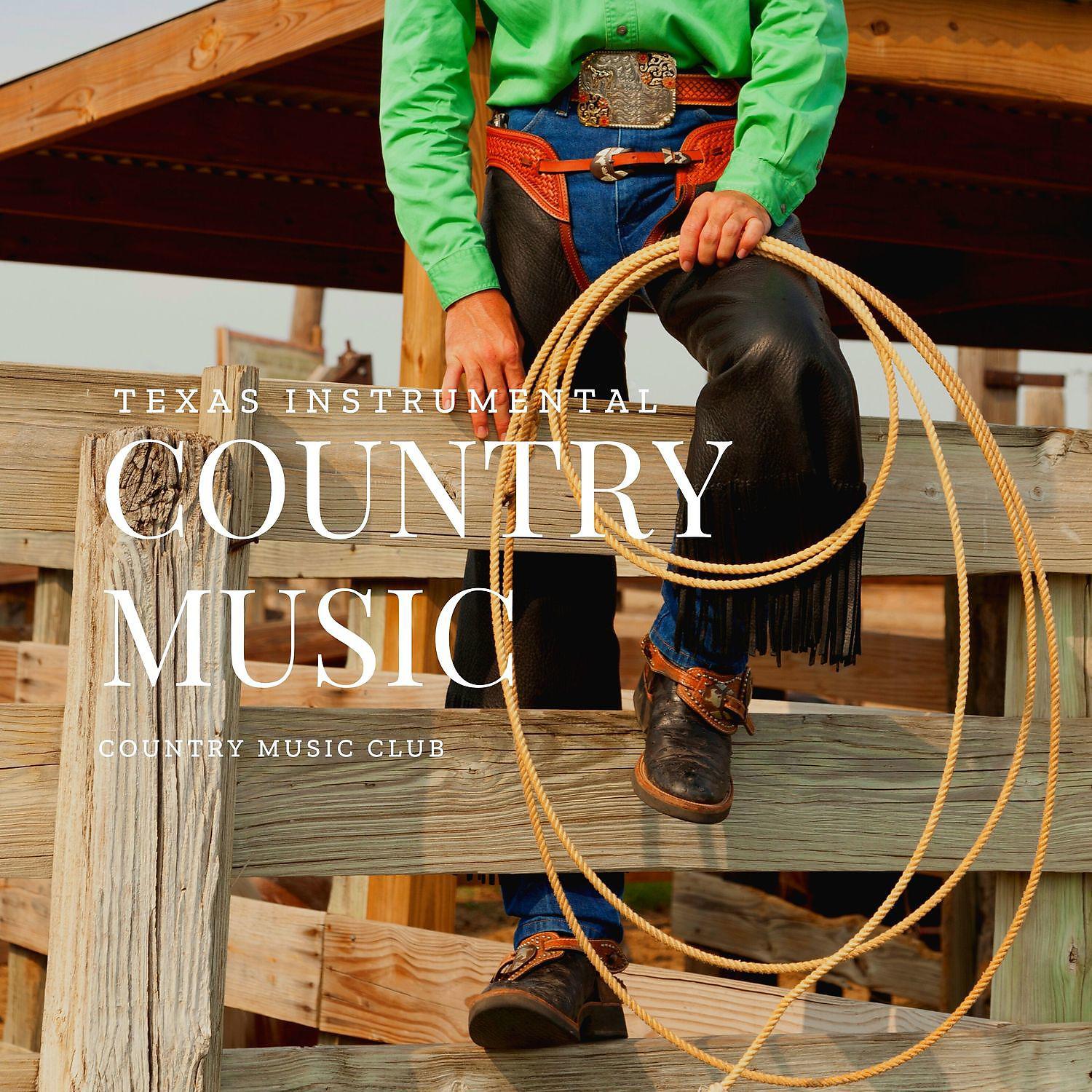 Постер альбома Texas Instrumental Country Music